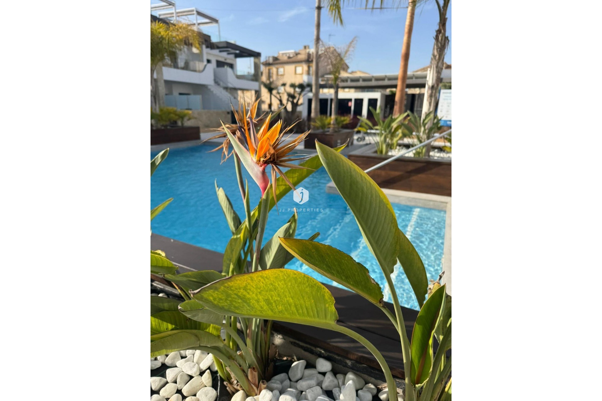 Segunda mano - Apartamento / piso -
Orihuela Costa - Rocio Del Mar