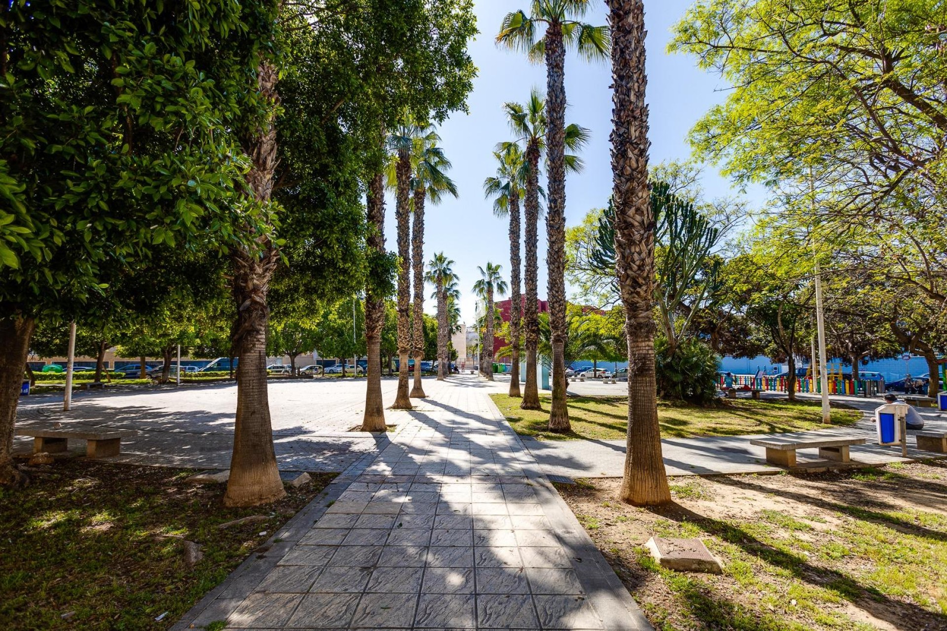 Segunda mano - Apartamento / piso -
Torrevieja - Estacion de autobuses