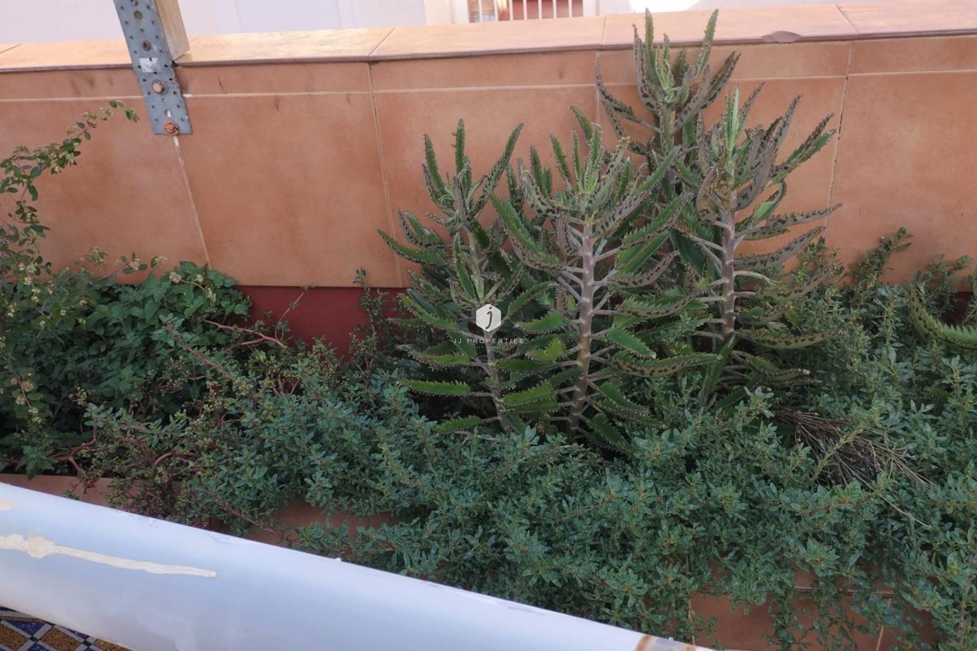 Segunda mano - Apartamento / piso -
Torrevieja - La Mata