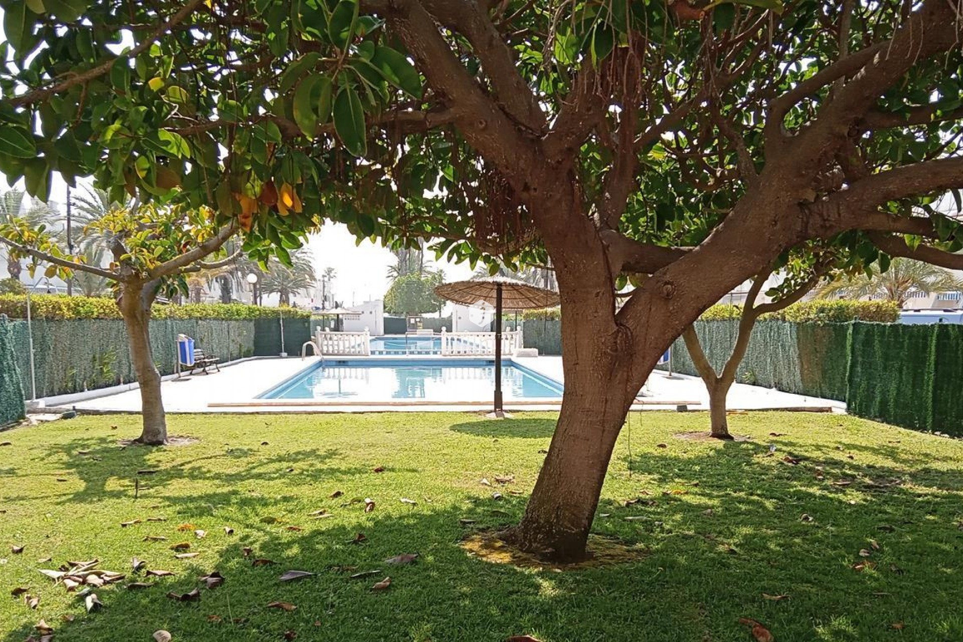 Segunda mano - Apartamento / piso -
Torrevieja - MAR AZUL LA VELETA