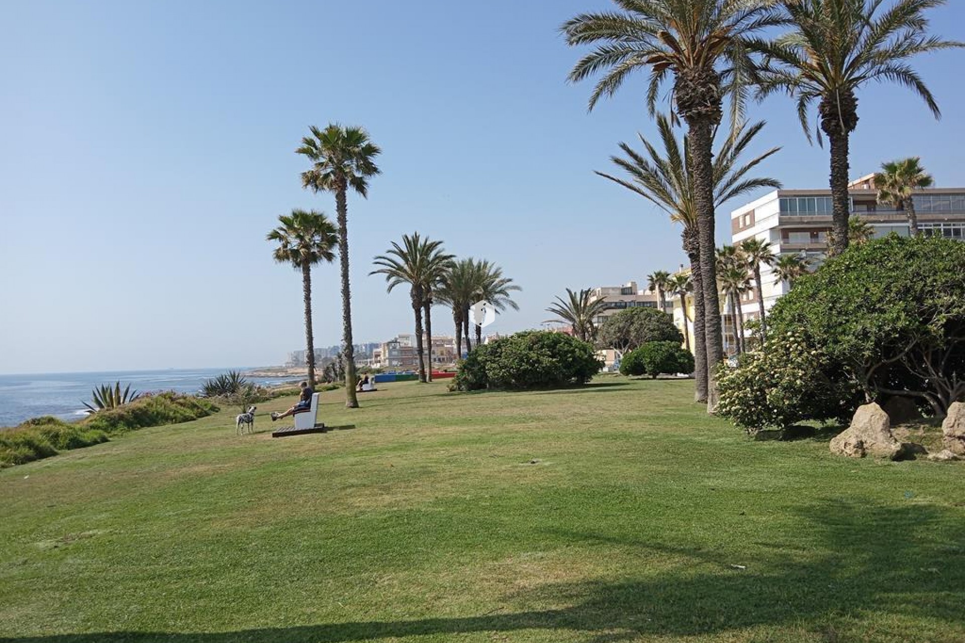 Segunda mano - Apartamento / piso -
Torrevieja - MAR AZUL LA VELETA