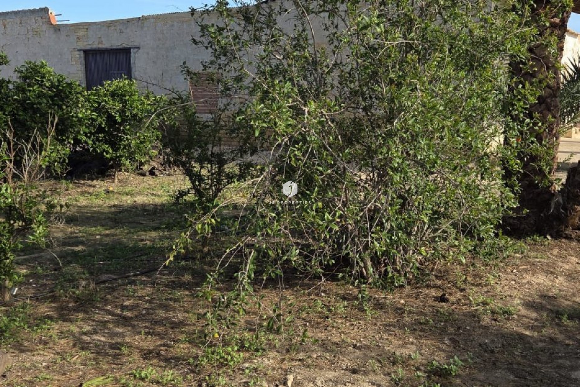 Segunda mano - Casa de campo -
Albatera - Inland