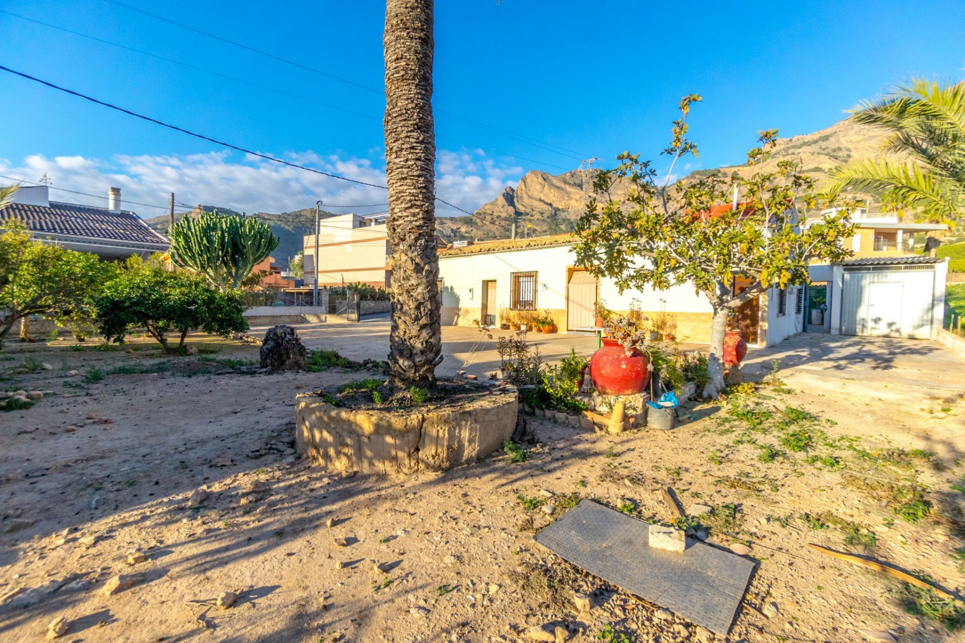 Segunda mano - Casa de campo -
Alicante - Raiguero de Bonanza