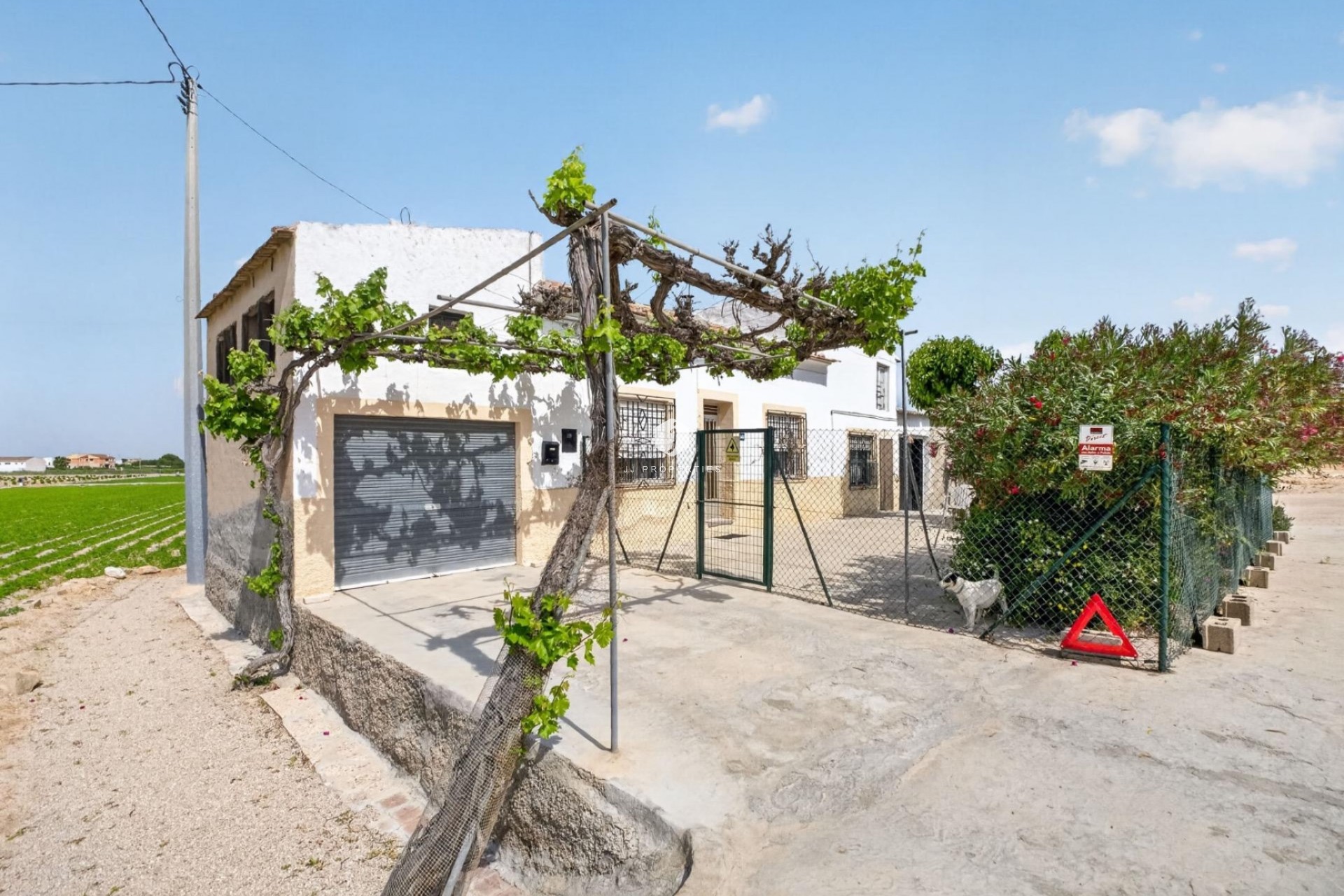 Segunda mano - Casa de campo -
Orihuela - Desamparados