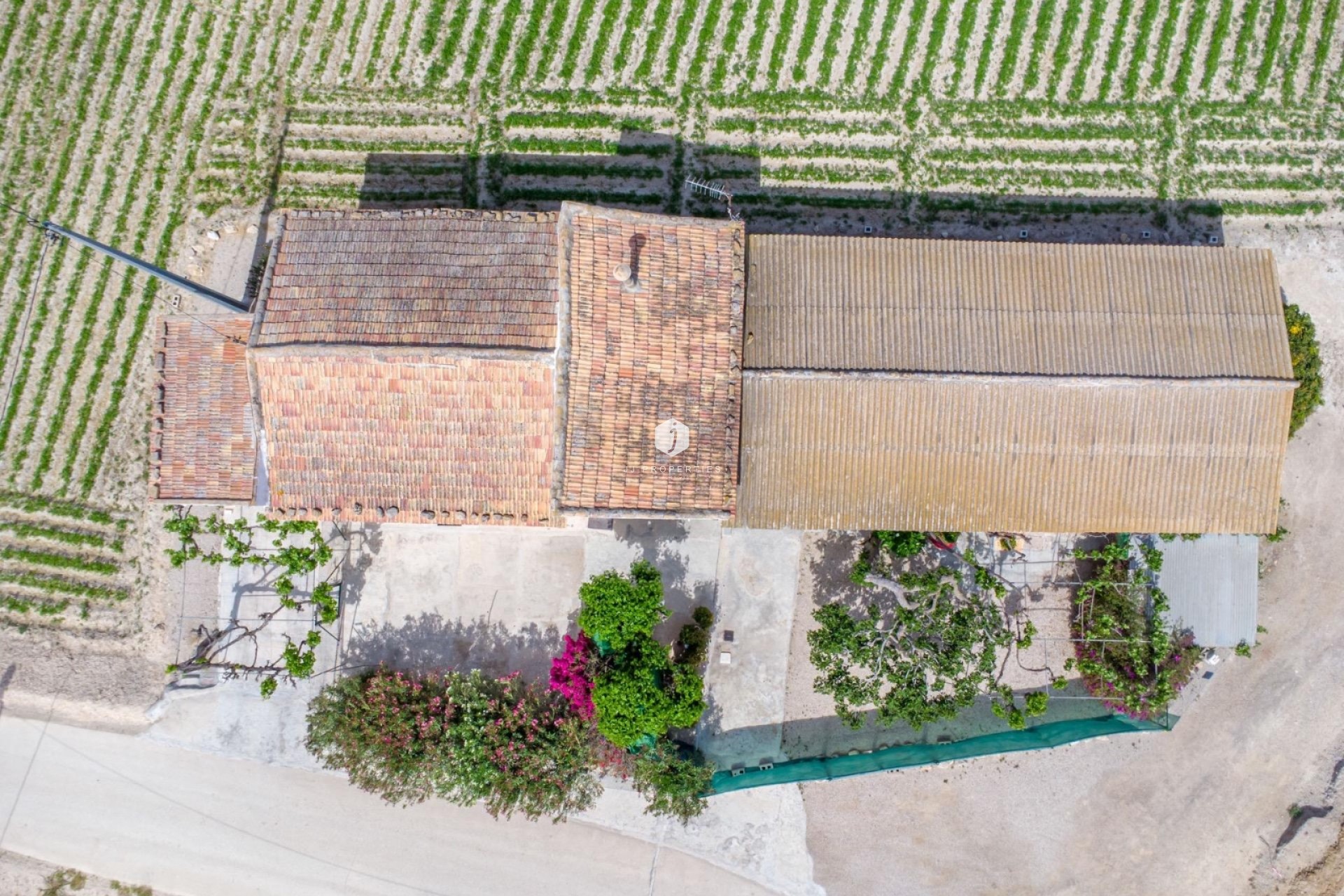 Segunda mano - Casa de campo -
Orihuela - Desamparados