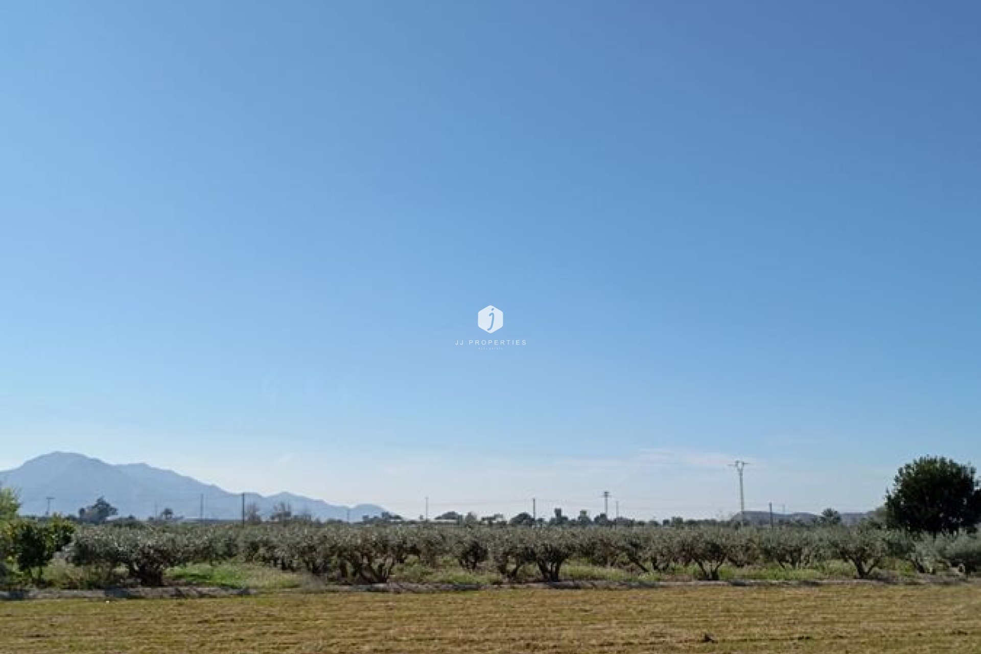 Segunda mano - Chalet -
Catral - Costa Blanca