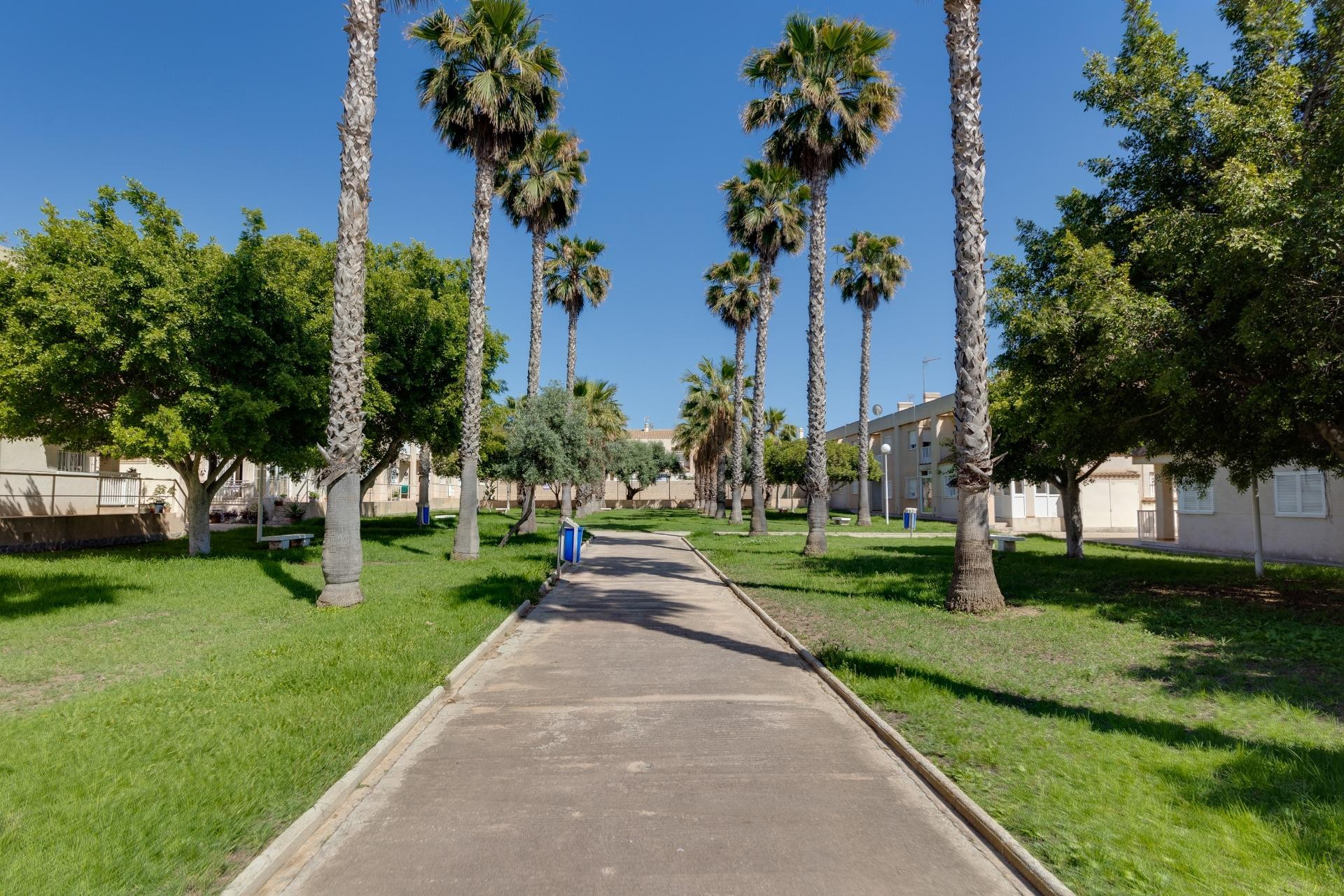 Segunda mano - Chalet -
Torrevieja - Aguas Nuevas 2