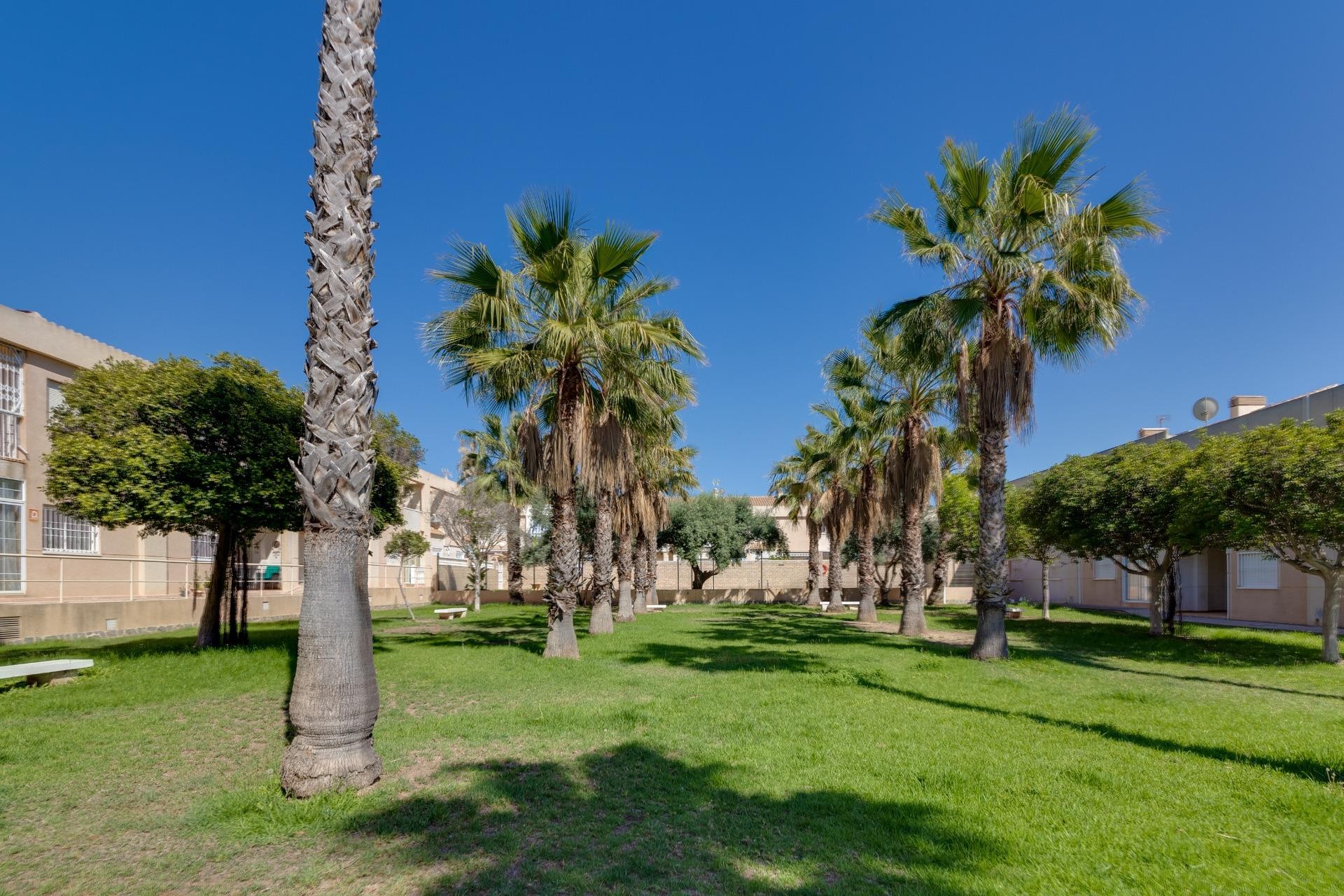 Segunda mano - Chalet -
Torrevieja - Aguas Nuevas 2