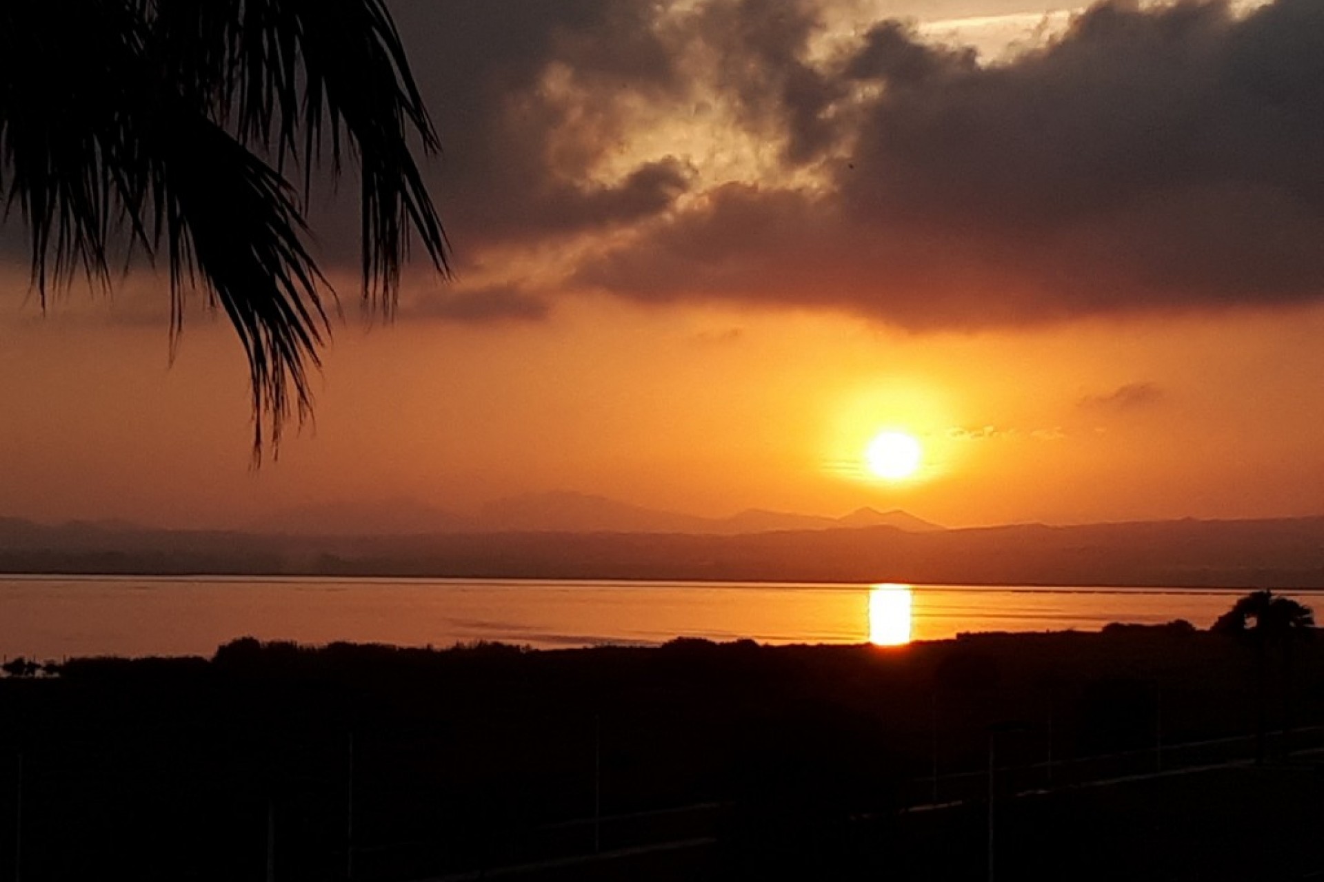 Segunda mano - Chalet -
Torrevieja - Costa Blanca