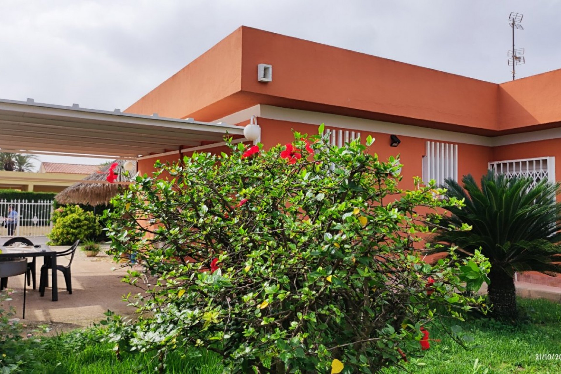 Segunda mano - Chalet -
Torrevieja - La veleta