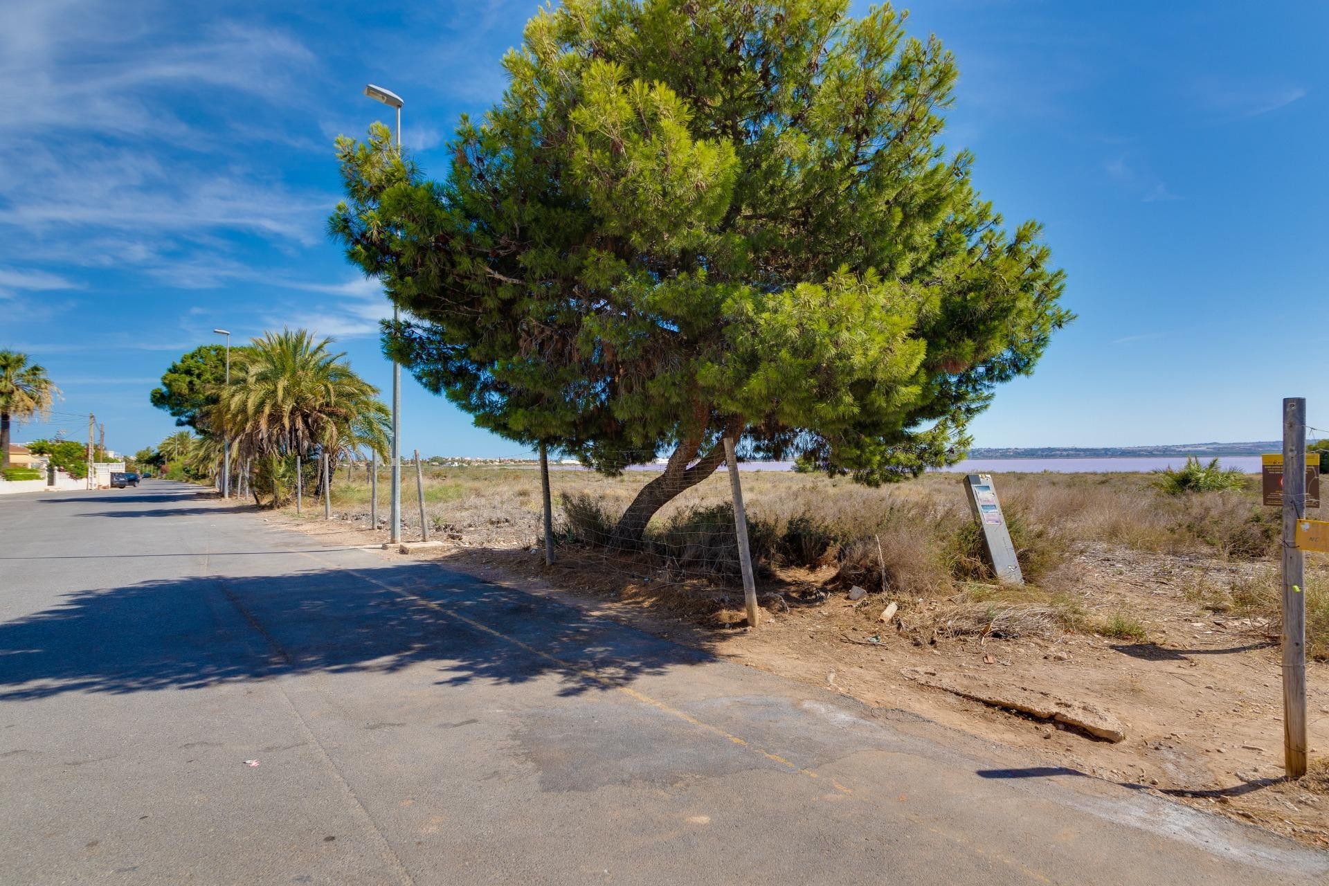 Segunda mano - Chalet -
Torrevieja - San luis