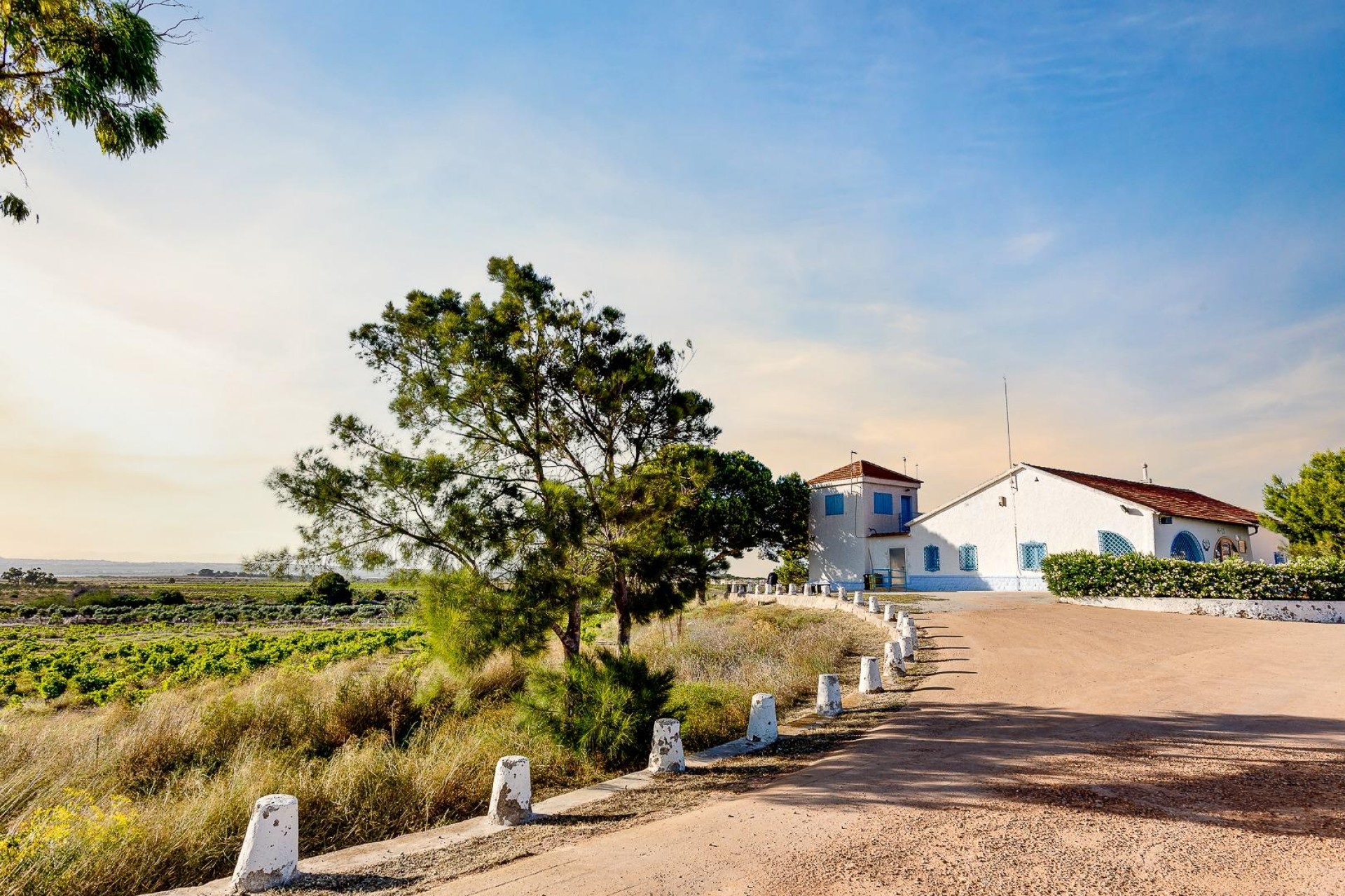 Segunda mano - Chalet -
Torrevieja - San luis