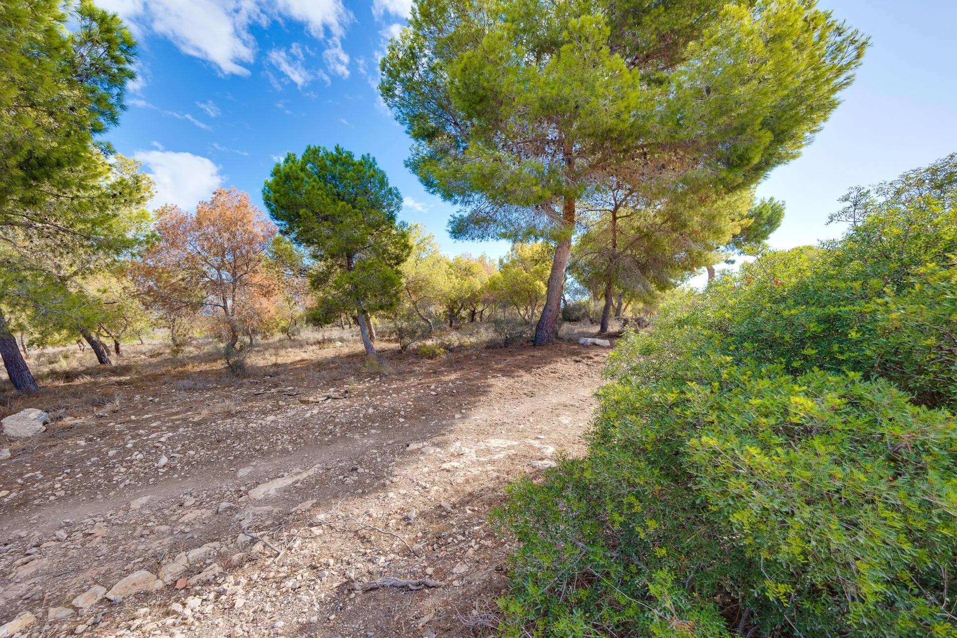 Segunda mano - Chalet -
Torrevieja - San luis