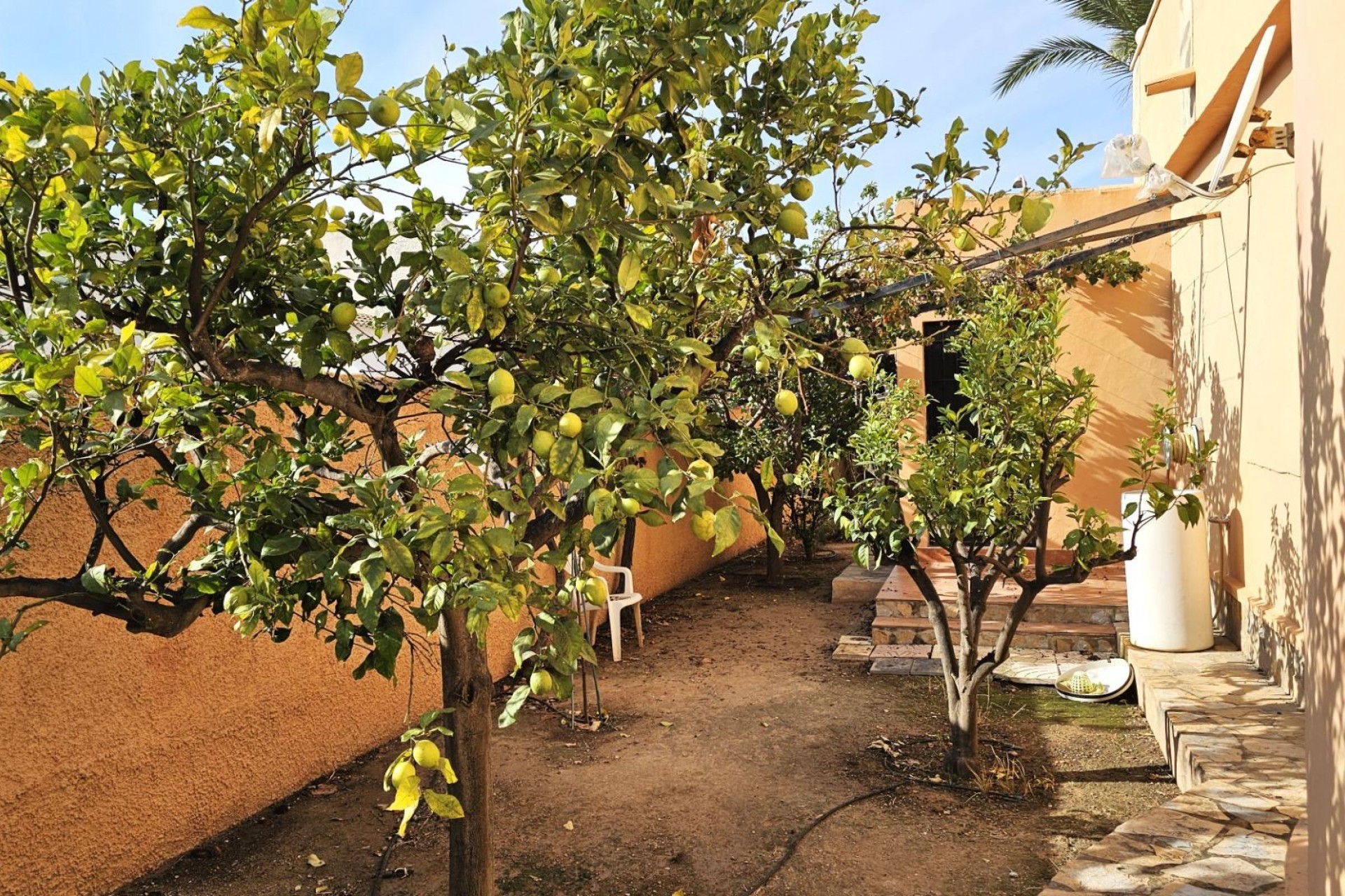 Segunda mano - Chalet -
Torrevieja - San luis