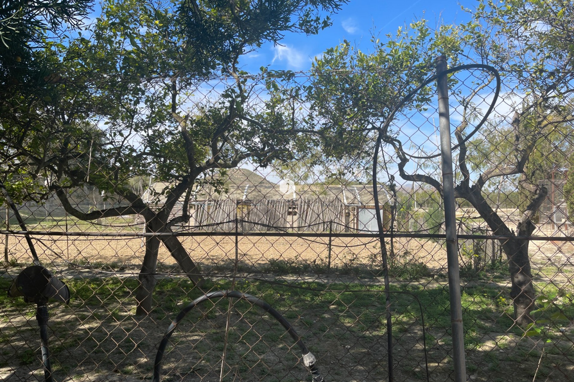 Segunda mano - Villa -
Guardamar del Segura - Costa Blanca