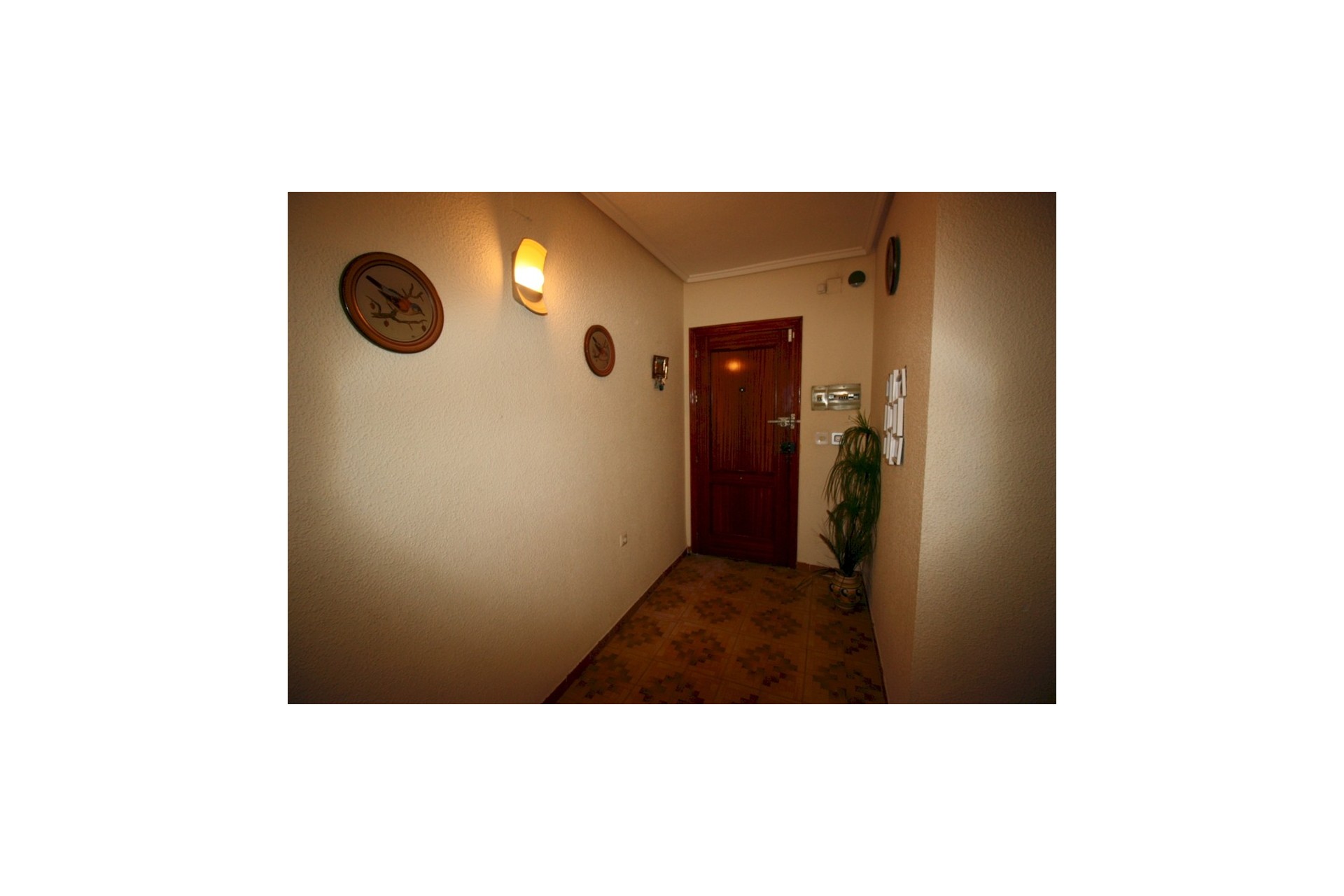 Tweedehands - Appartement / flat -
Guardamar del Segura - Costa Blanca