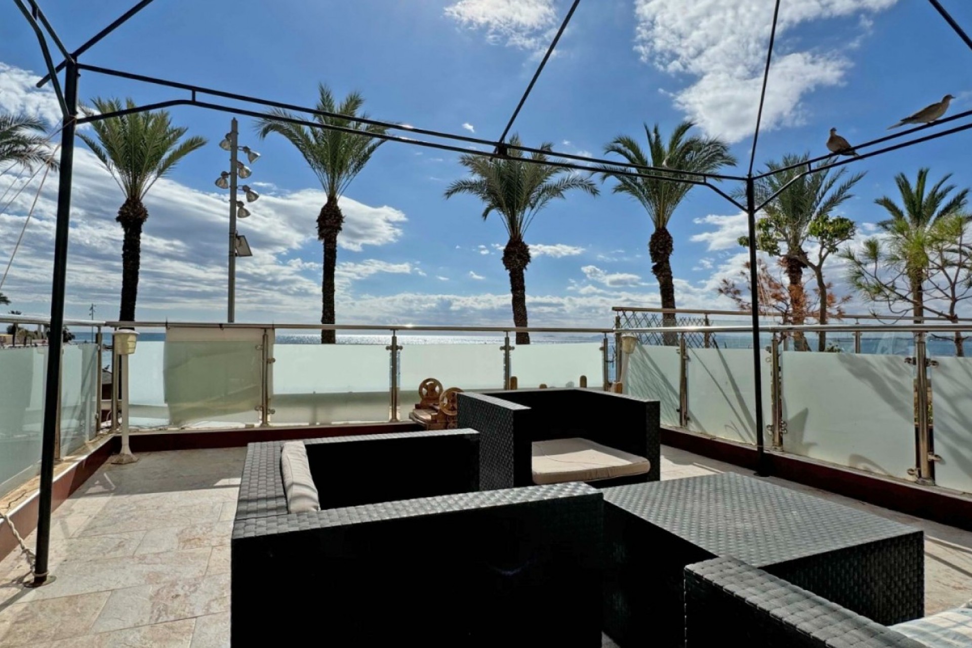 Tweedehands - Appartement / flat -
Torrevieja - Costa Blanca