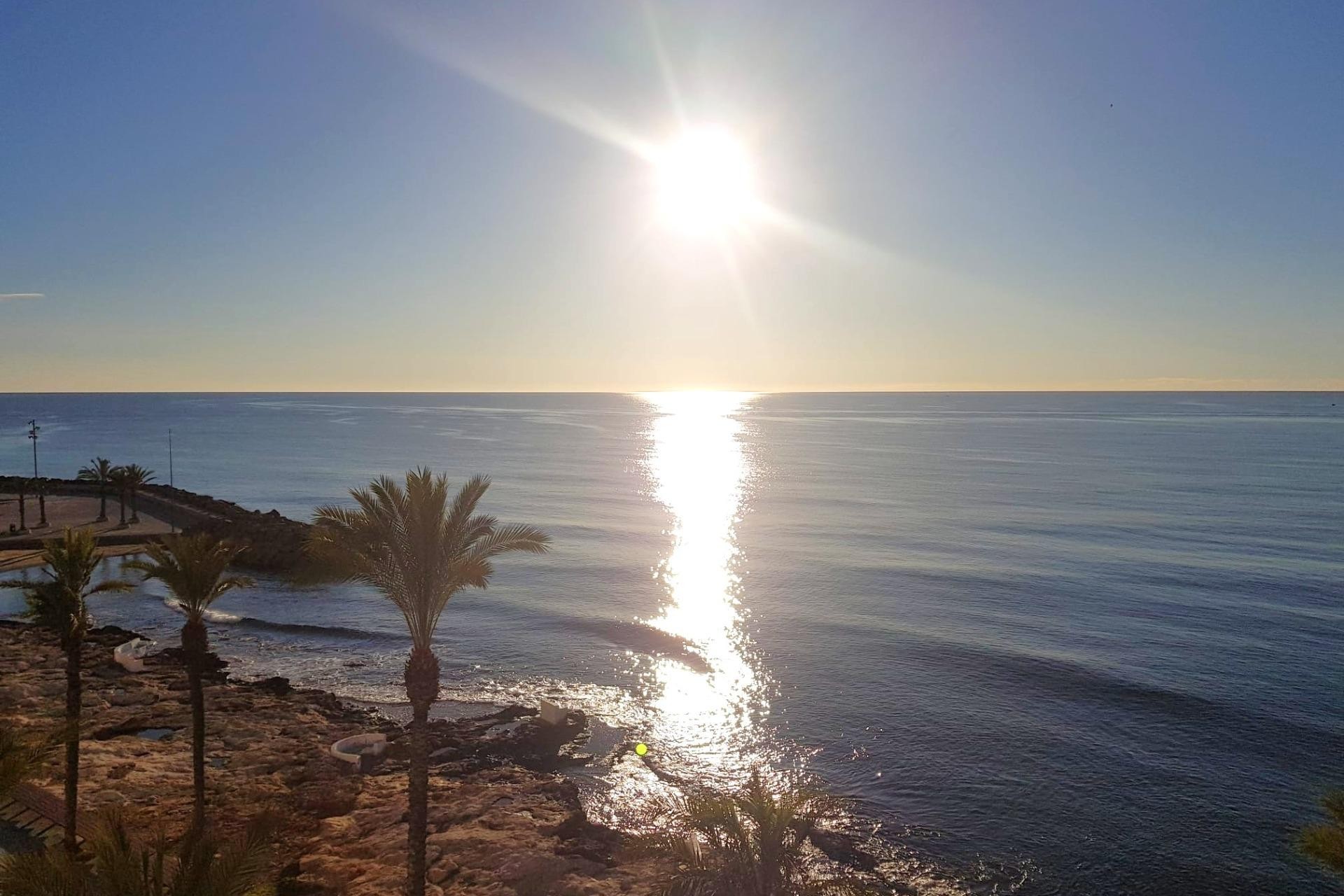 Tweedehands - Appartement / flat -
Torrevieja - Estacion de autobuses