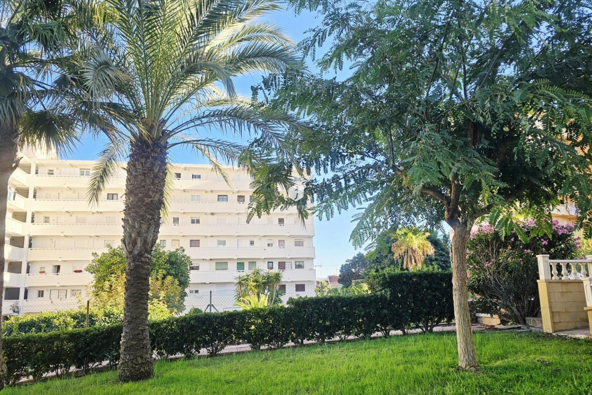 Tweedehands - Appartement / flat -
Torrevieja - Torreblanca