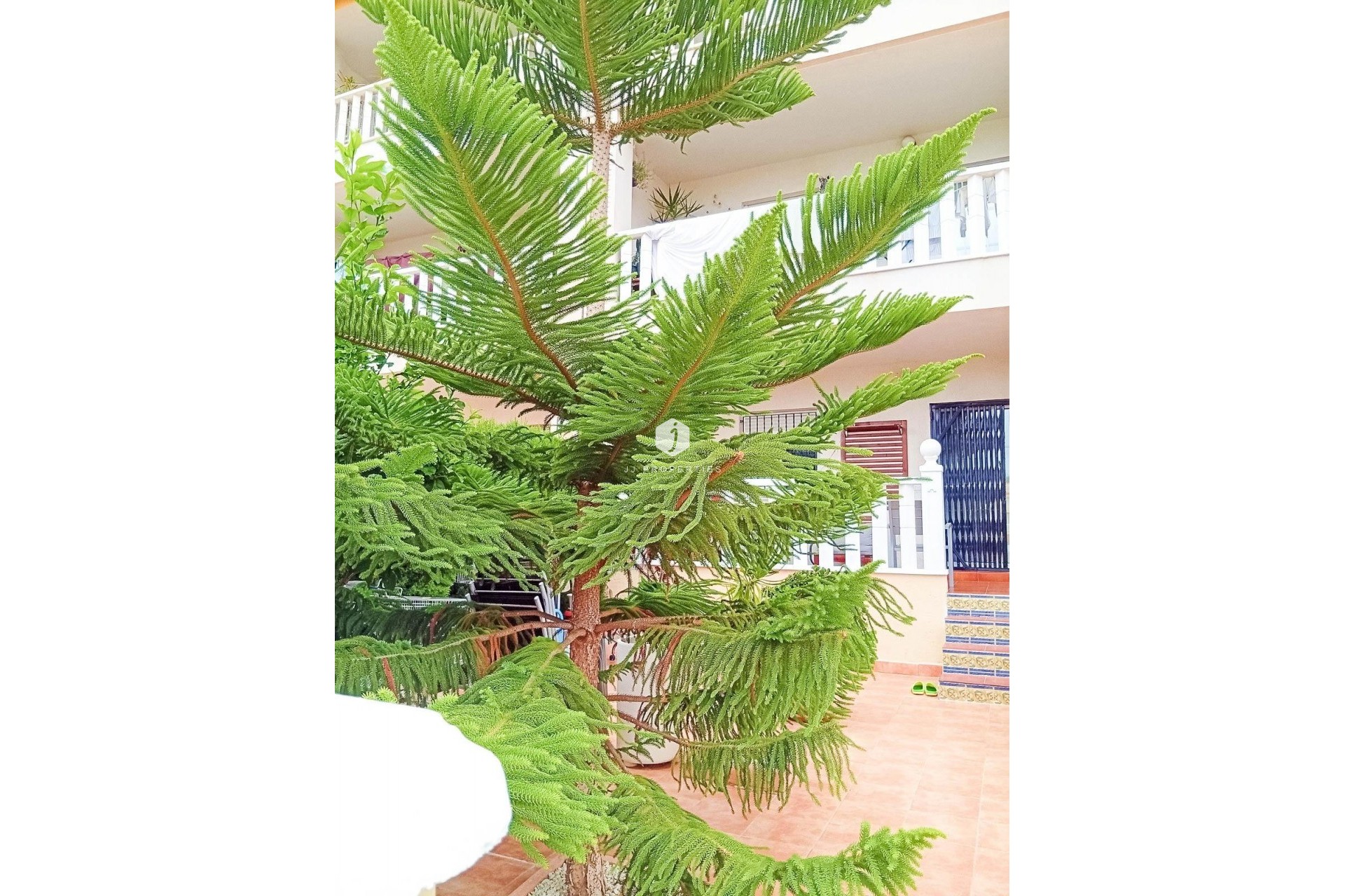 Tweedehands - Bungalow -
Orihuela Costa - Lomas De Cabo Roig-los Dolses