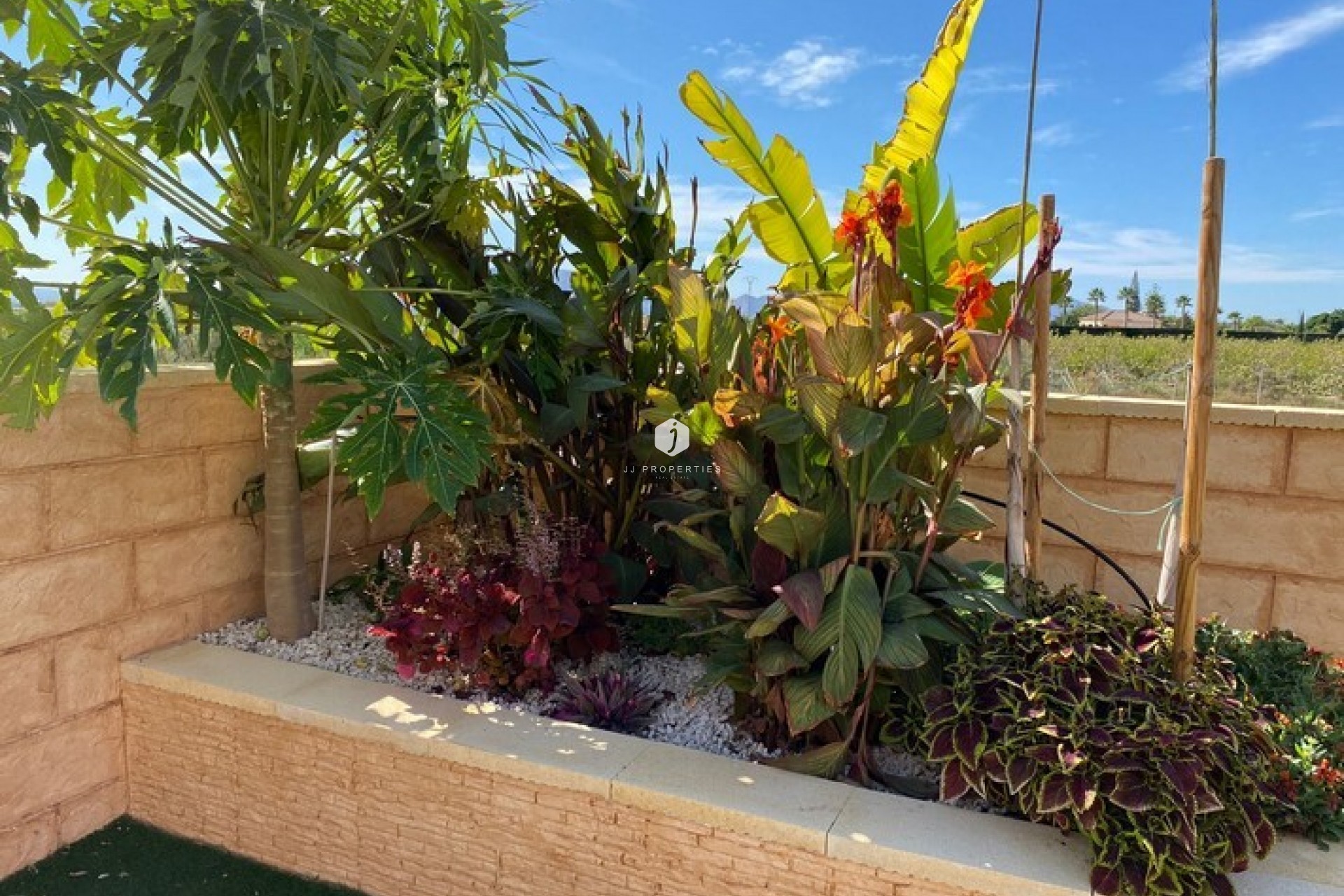 Tweedehands - Landelijk eigendom -
Albatera - Inland