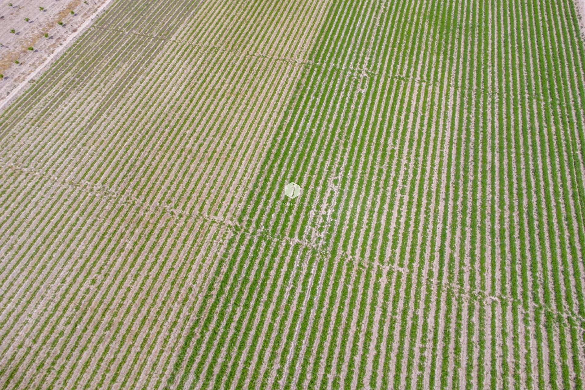 Tweedehands - Landelijk eigendom -
Orihuela - Desamparados