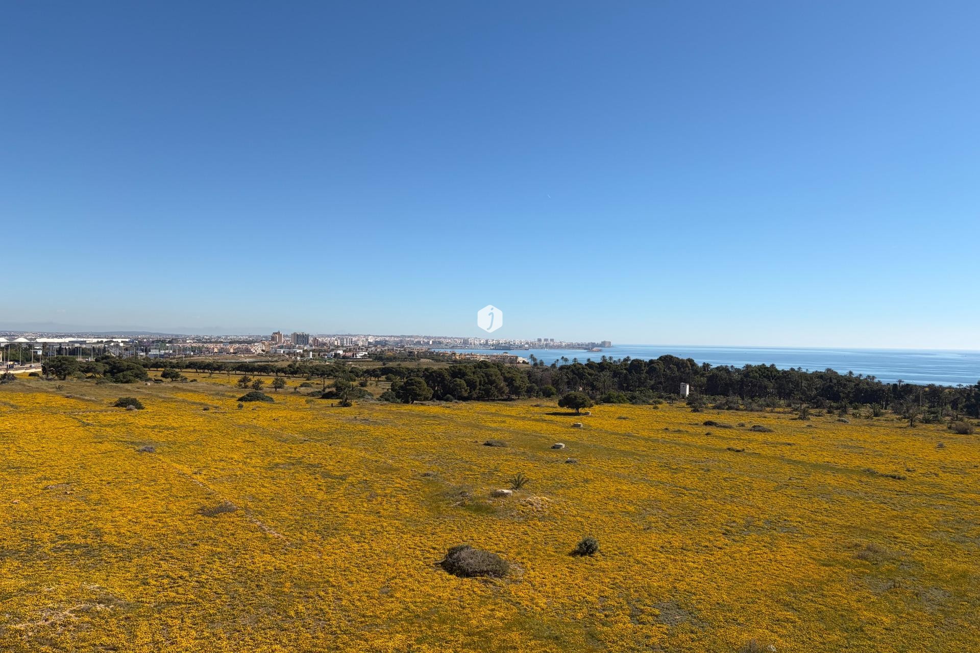 Tweedehands - Penthouse -
Torrevieja - Punta prima