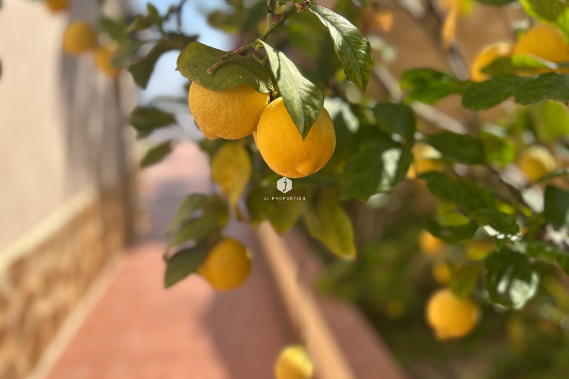 Tweedehands - Villa -
Algorfa - Inland