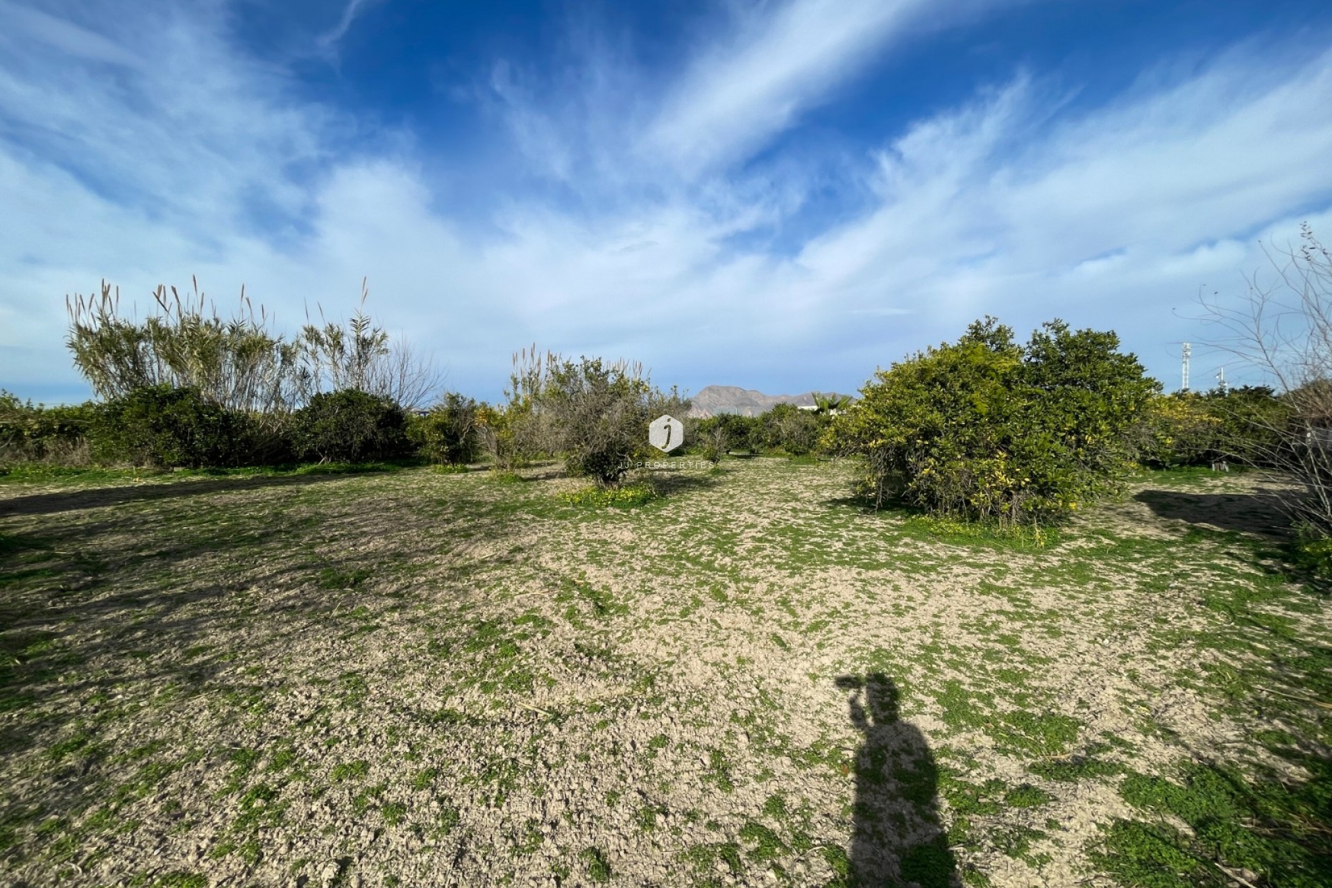 Tweedehands - Villa -
Benejúzar - Inland