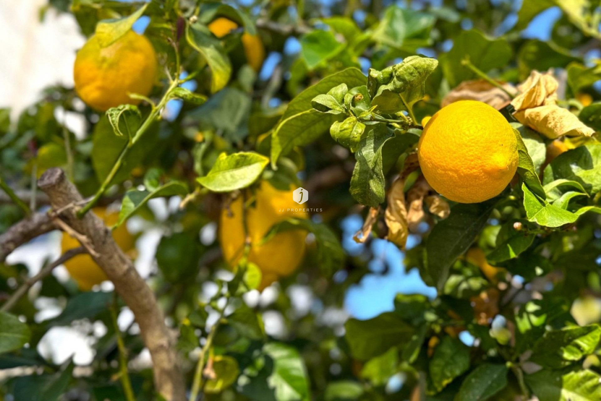 Tweedehands - Villa -
Orihuela Costa - Costa Blanca