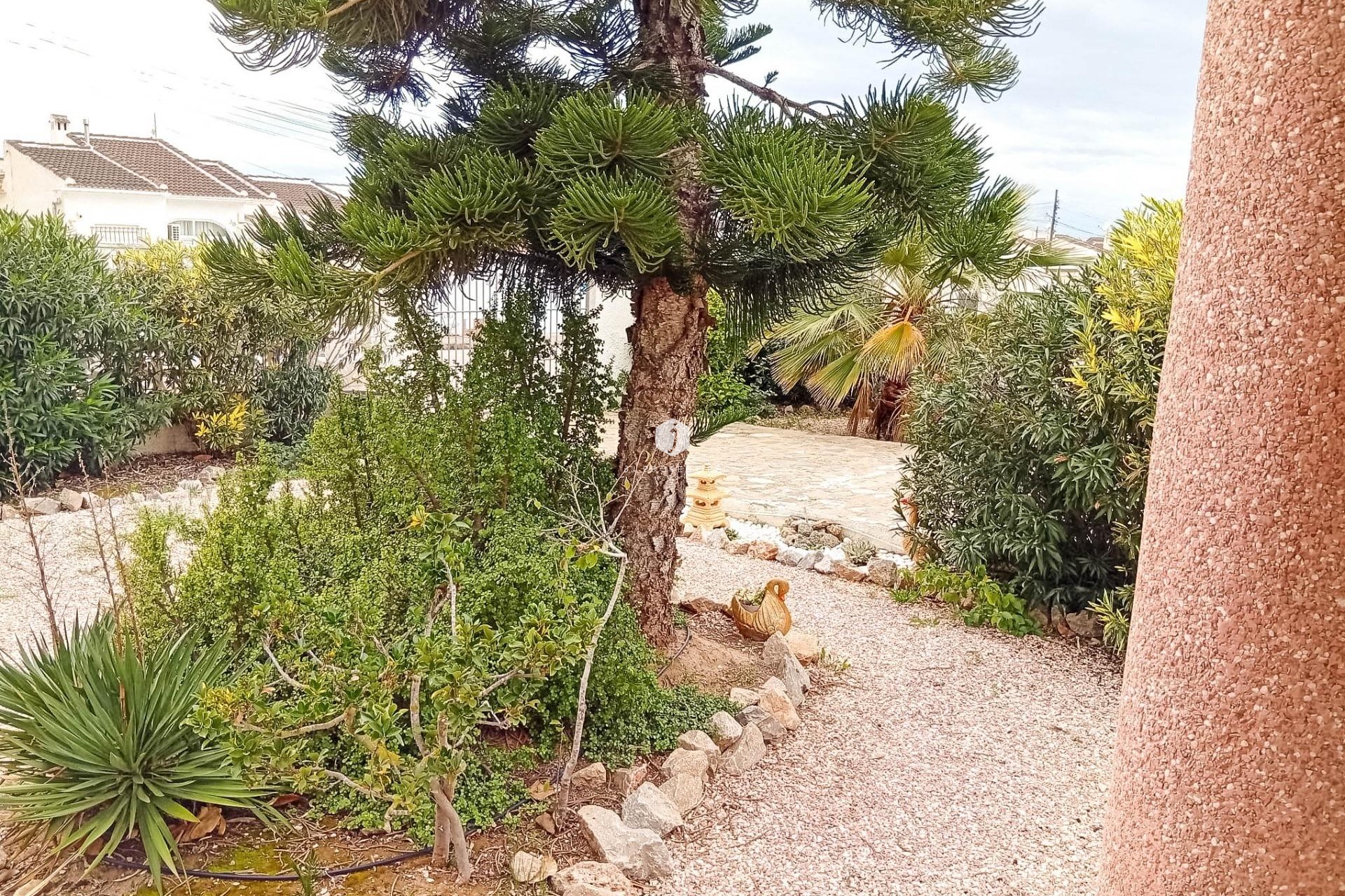 Tweedehands - Villa -
Torrevieja - La siesta