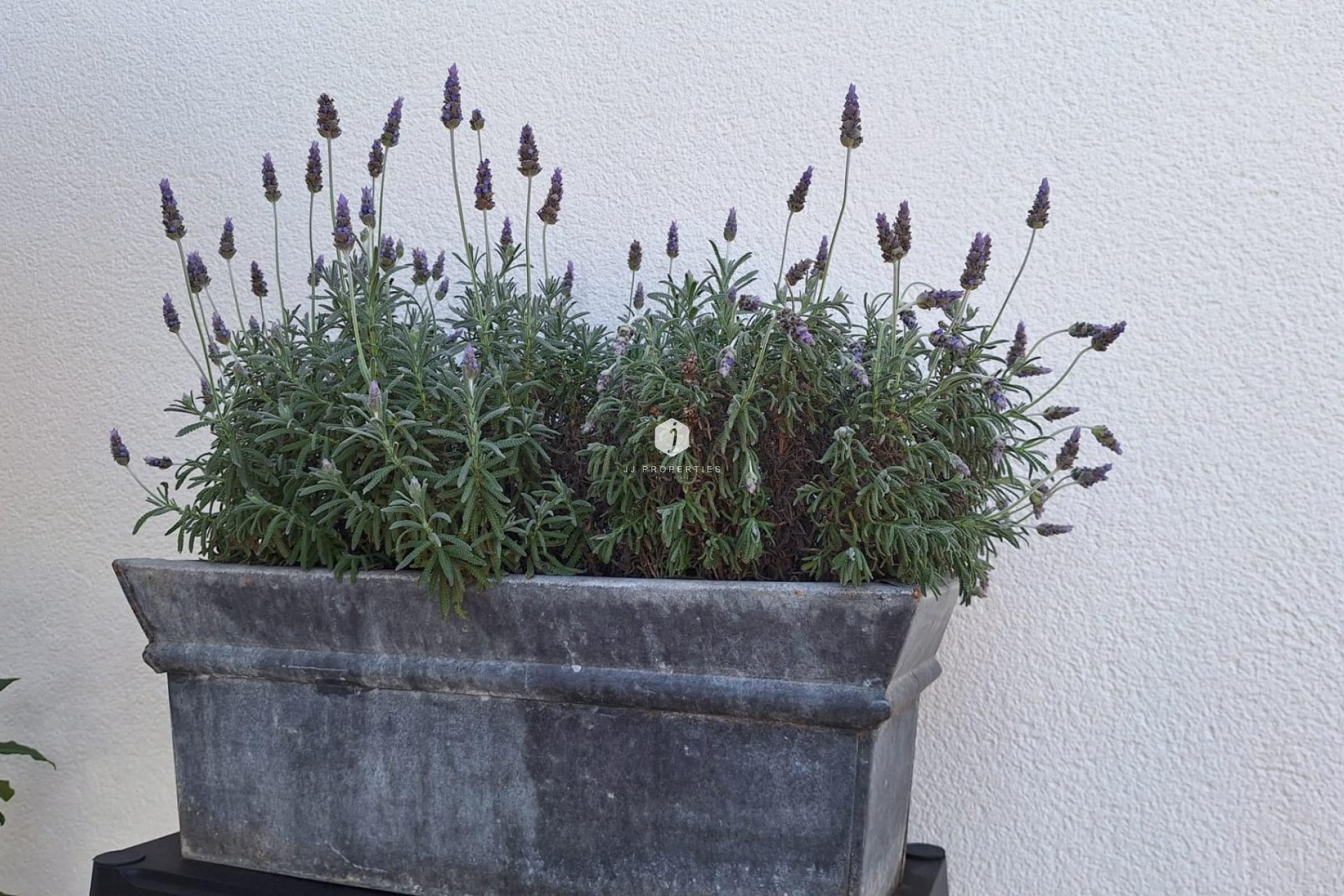 Tweedehands - Villa -
Torrevieja - Los Balcones - Los Altos del Edén