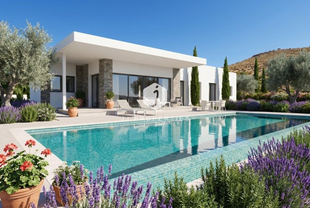 Villa - New Build - Pinoso -
                Casas Pastor