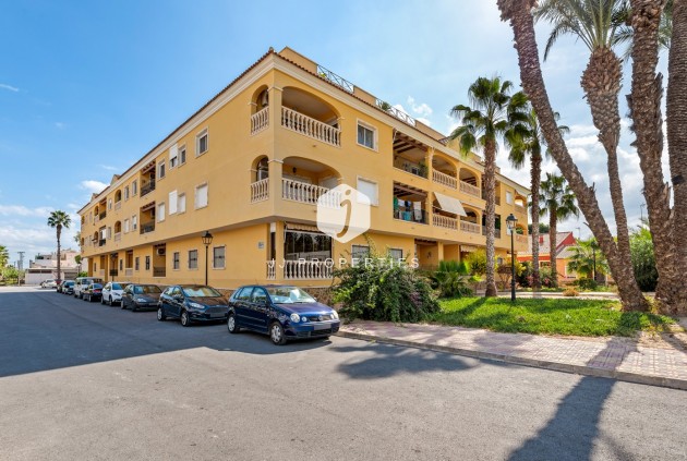 Wohnung - Aus zweiter Hand - Jacarilla -
                Inland