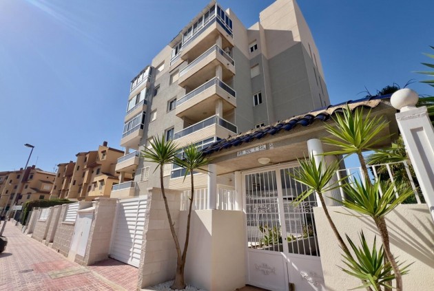 Wohnung - Aus zweiter Hand - Torrevieja -
                Costa Blanca