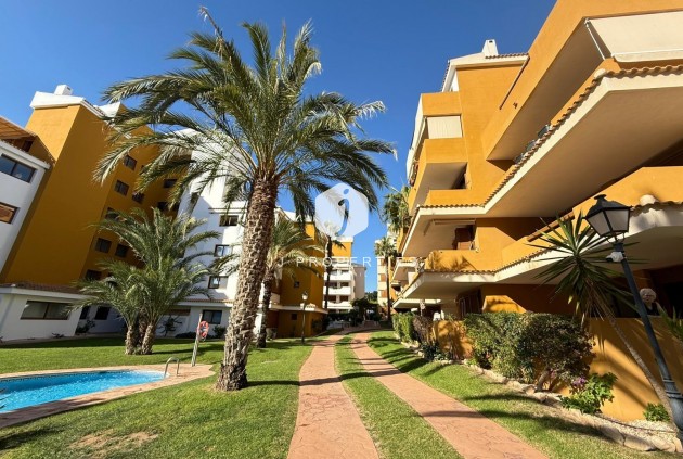 Wohnung - Aus zweiter Hand - Torrevieja -
                Punta prima