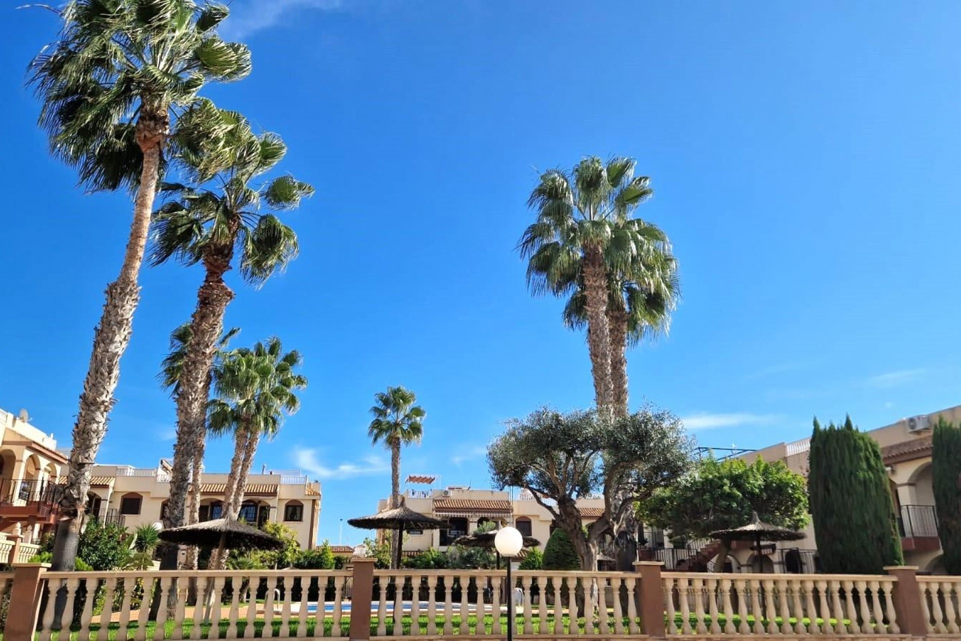 Z drugiej ręki - Bungalow -
Torrevieja - Aguas Nuevas 1