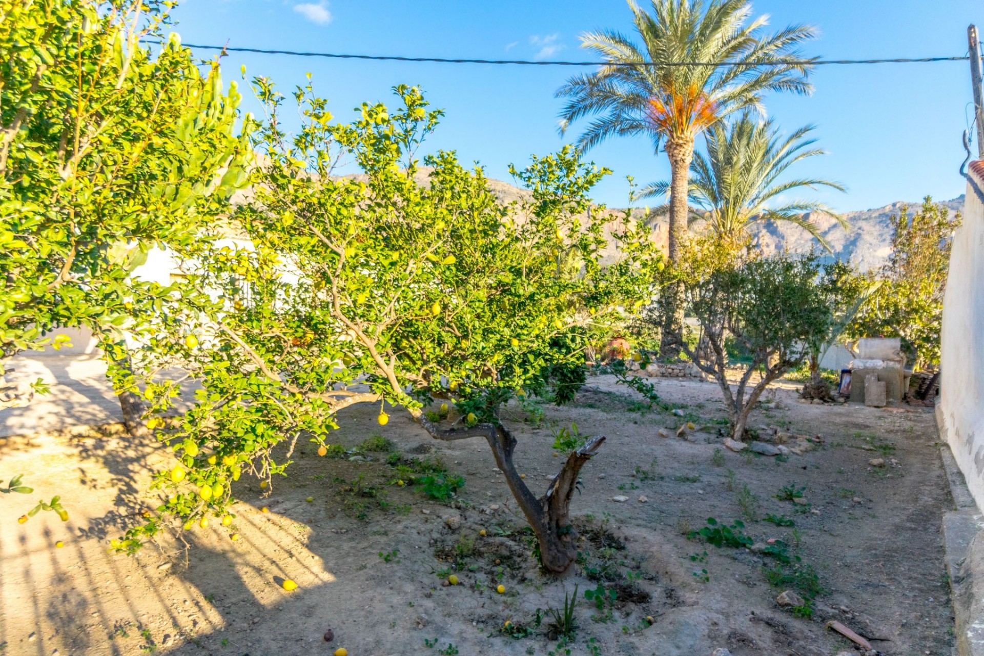 Z drugiej ręki - Casa de campo -
Alicante - Raiguero de Bonanza