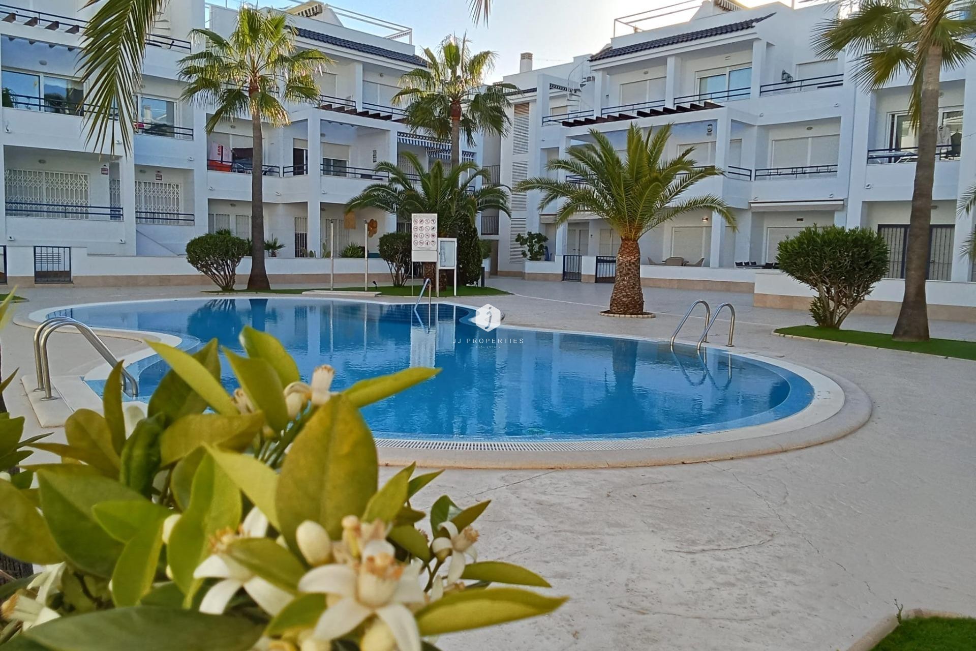 Z drugiej ręki - Daszek -
Torrevieja - La veleta