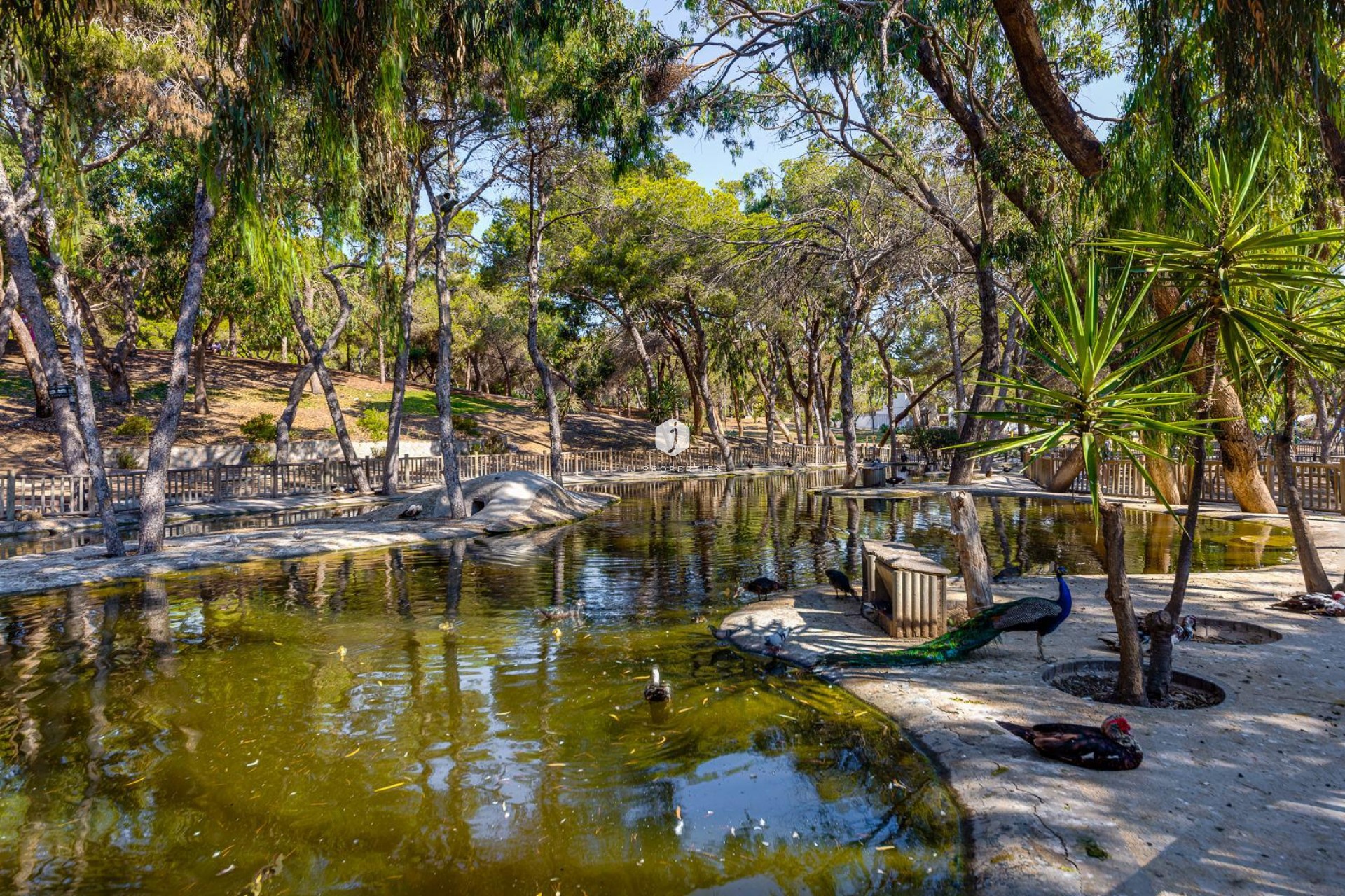 Z drugiej ręki - Mieszkanie w bloku -
Guardamar del Segura - Costa Blanca