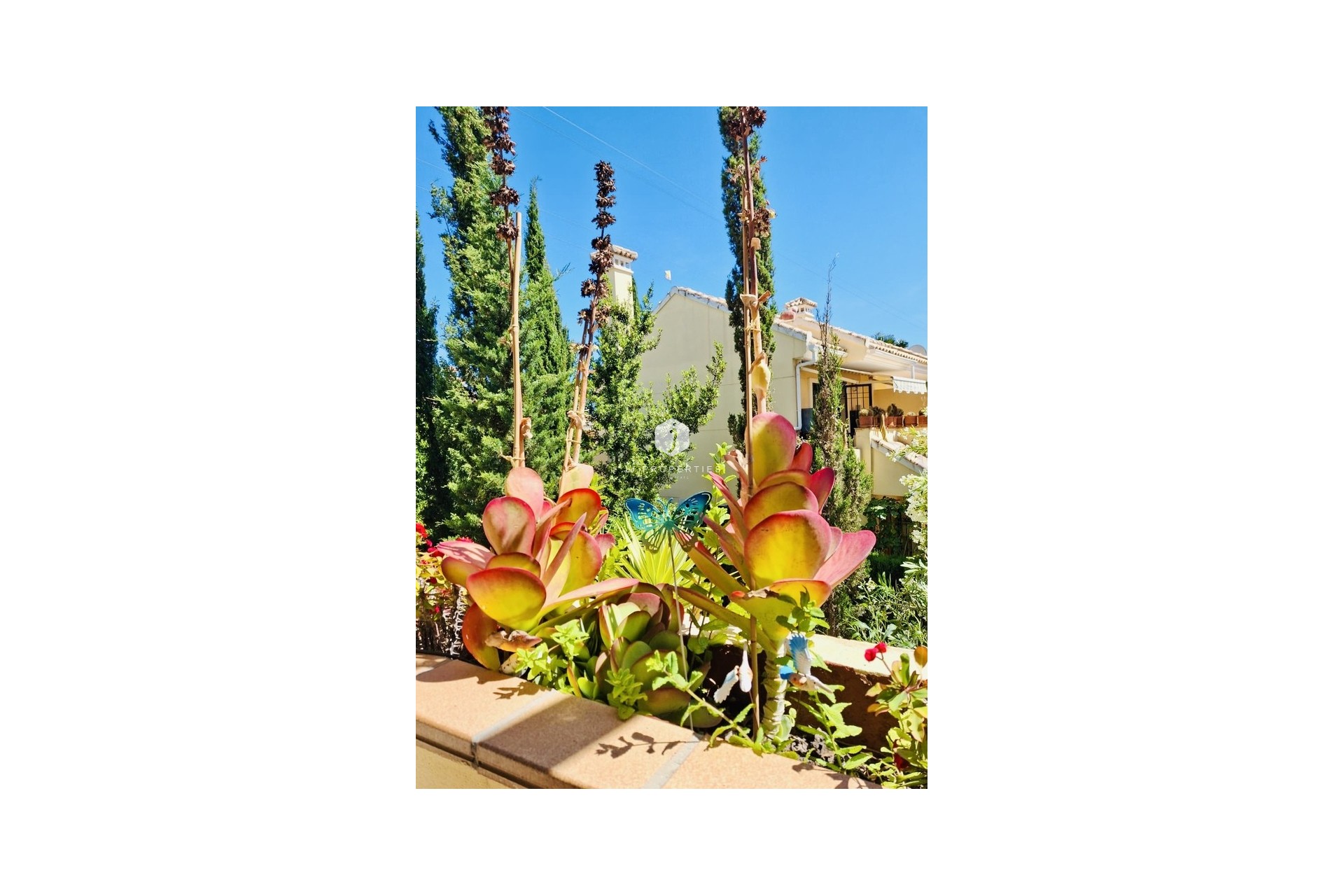 Z drugiej ręki - Mieszkanie w bloku -
Orihuela Costa - Costa Blanca