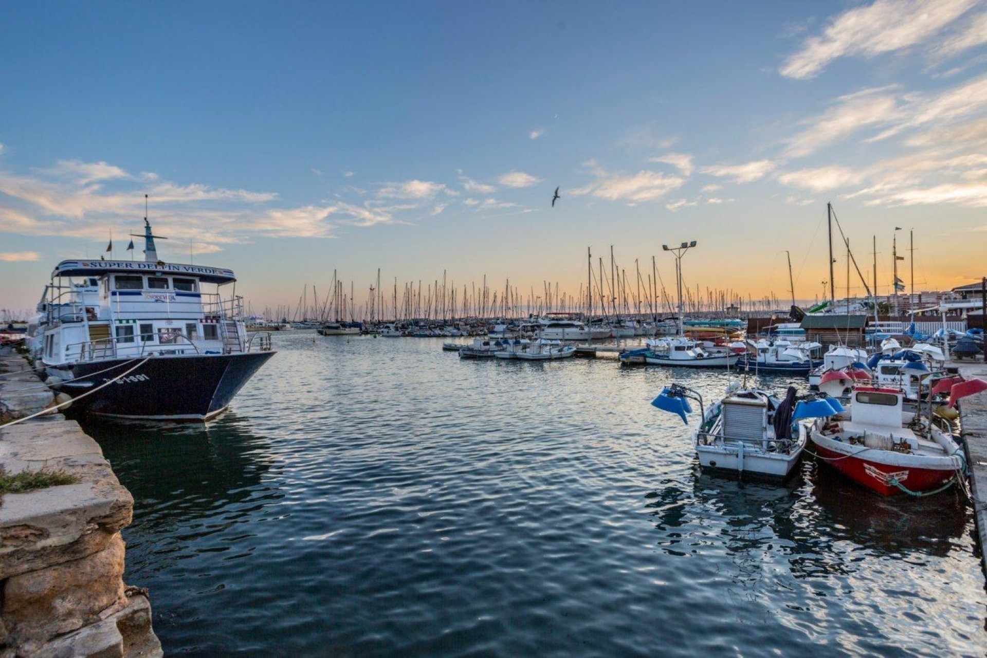 Z drugiej ręki - Mieszkanie w bloku -
Torrevieja - Centro