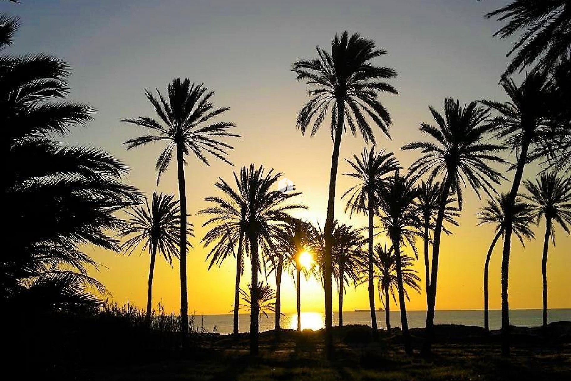 Z drugiej ręki - Mieszkanie w bloku -
Torrevieja - Centro