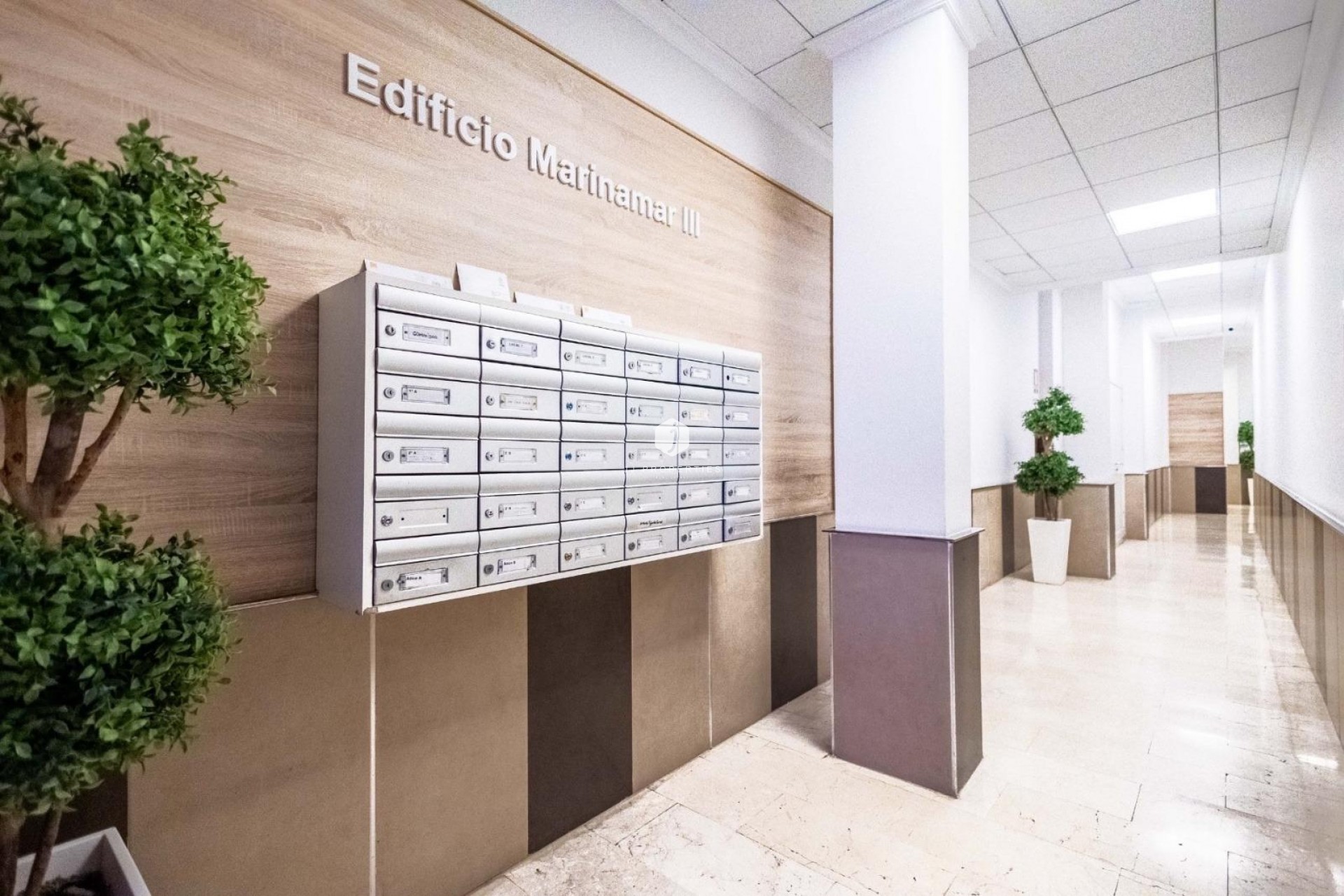 Z drugiej ręki - Mieszkanie w bloku -
Torrevieja - Centro