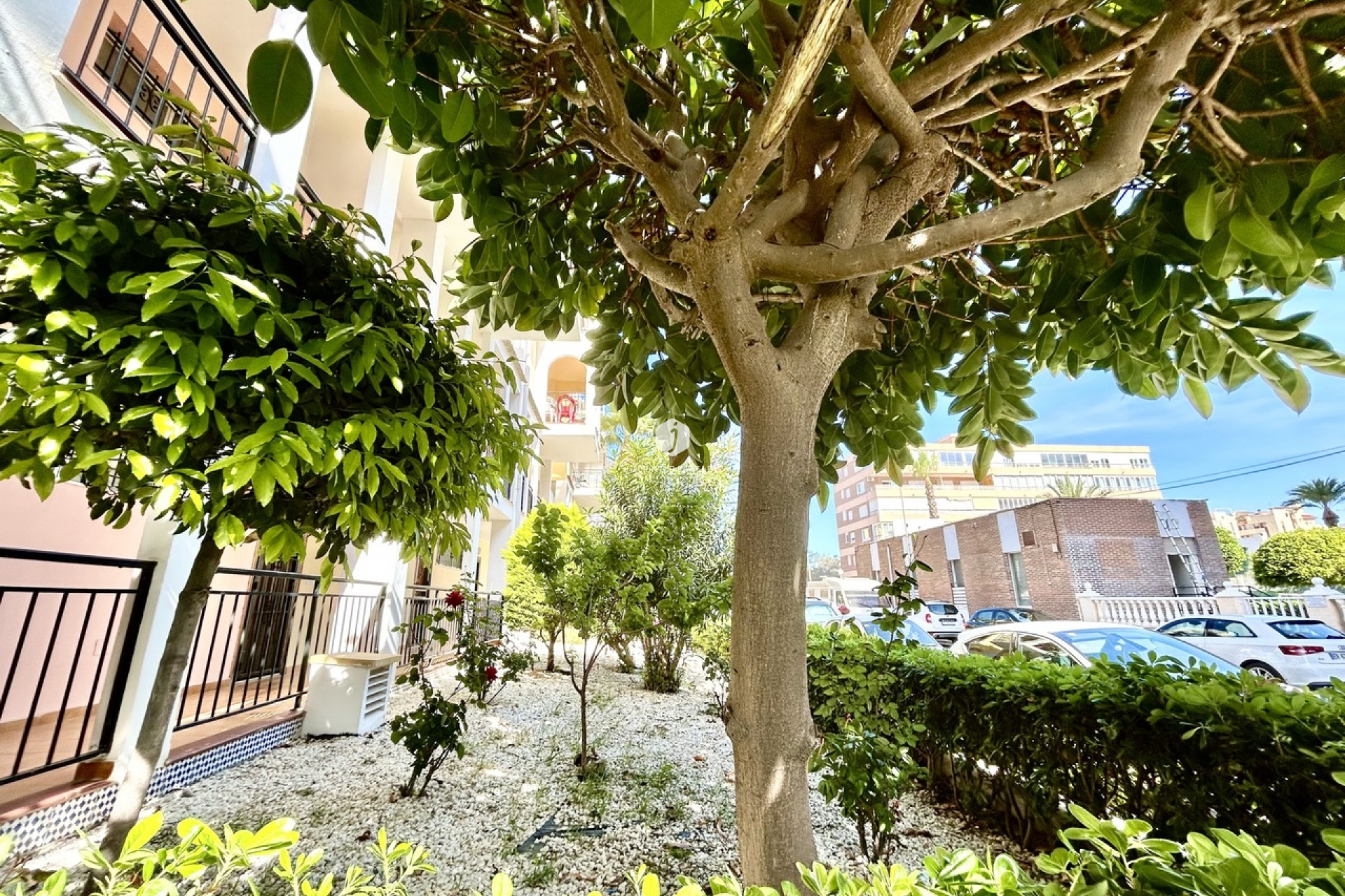 Z drugiej ręki - Mieszkanie w bloku -
Torrevieja - Costa Blanca