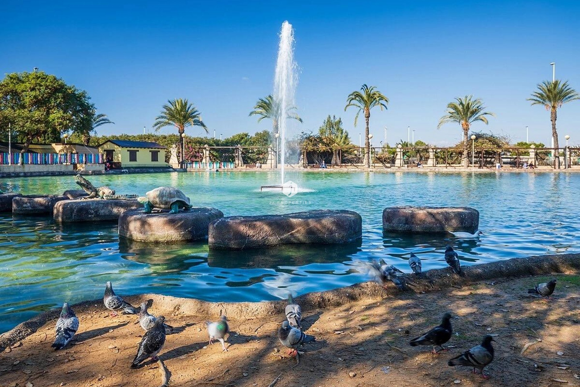 Z drugiej ręki - Mieszkanie w bloku -
Torrevieja - Parque las naciones