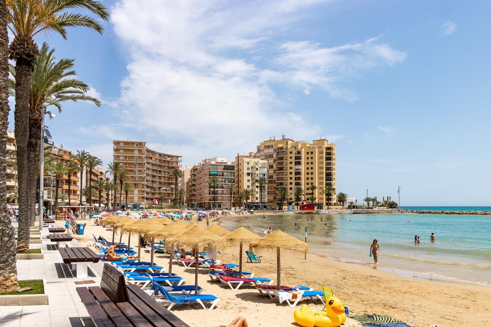 Z drugiej ręki - Mieszkanie w bloku -
Torrevieja - Playa del Cura