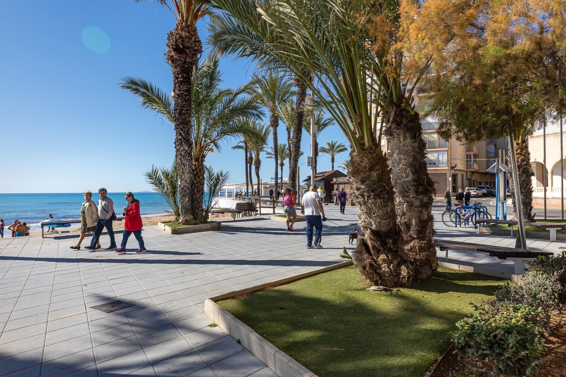 Z drugiej ręki - Mieszkanie w bloku -
Torrevieja - Playa del Cura