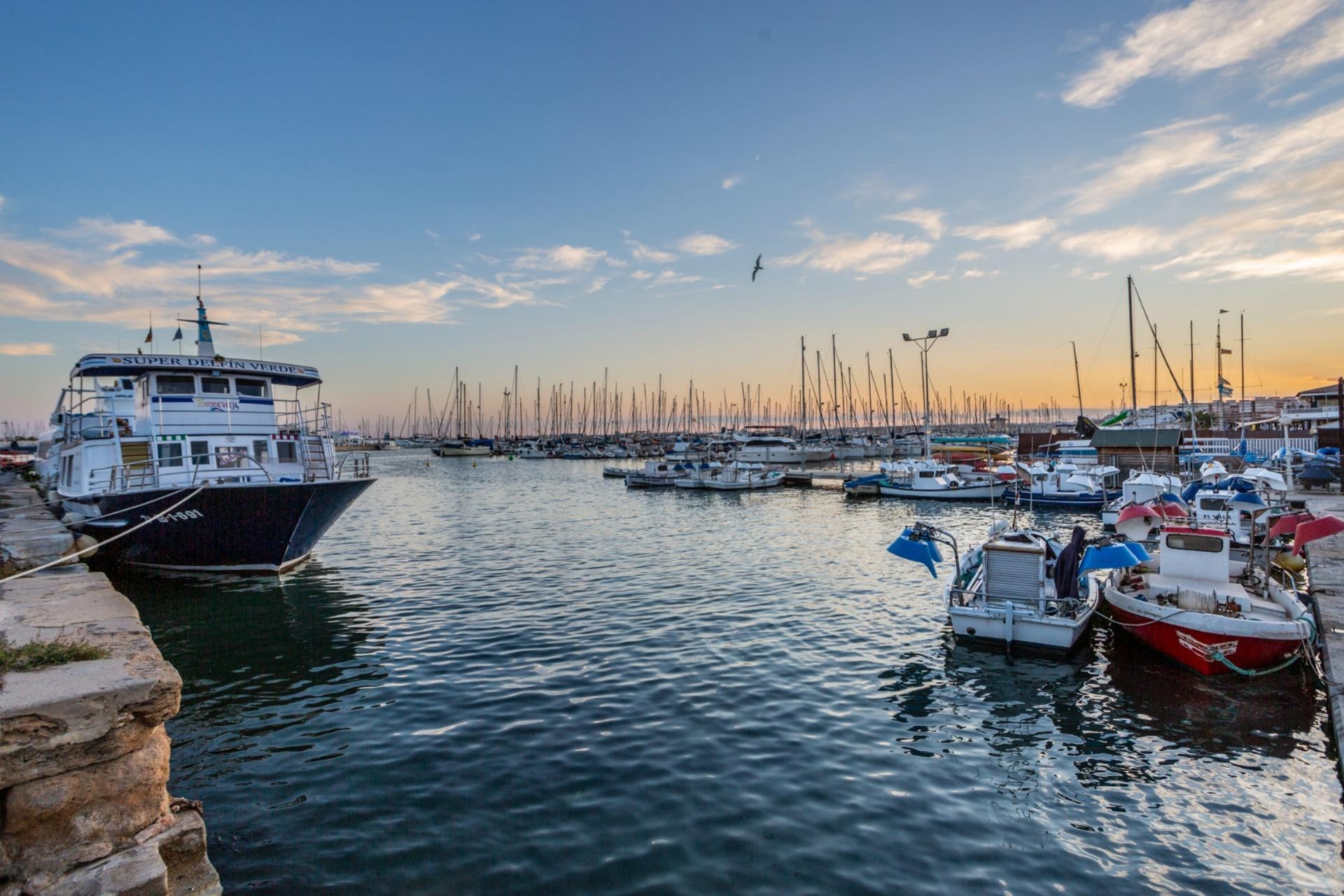 Z drugiej ręki - Mieszkanie w bloku -
Torrevieja