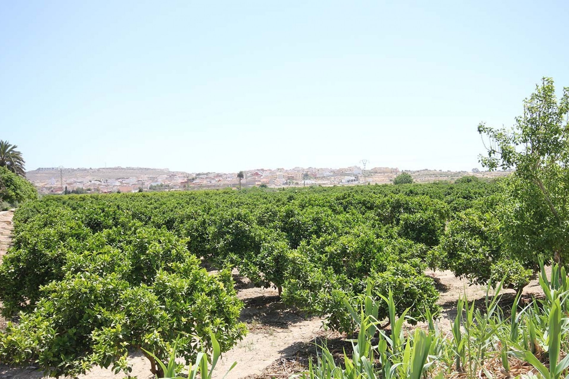 Z drugiej ręki - Szalet -
Benijofar - Costa Blanca